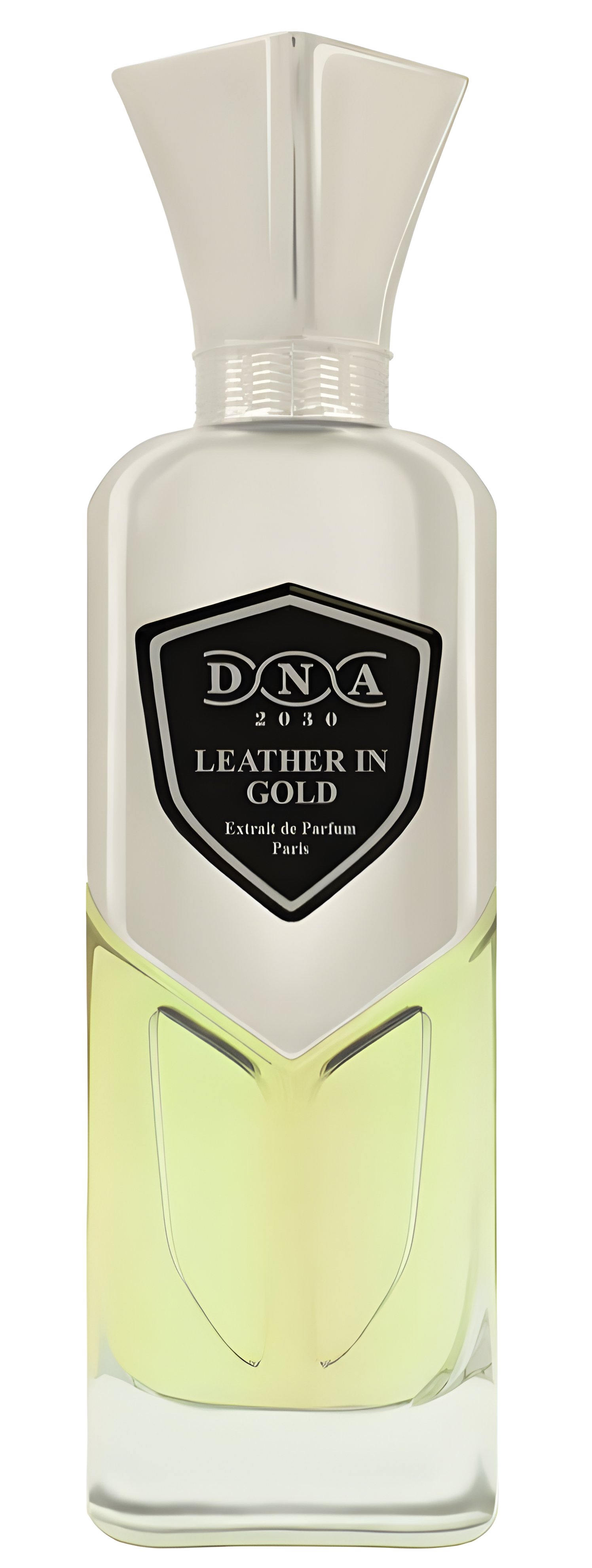 Leather in Gold by Sir Parfumer DNA 2030 perfume bottle