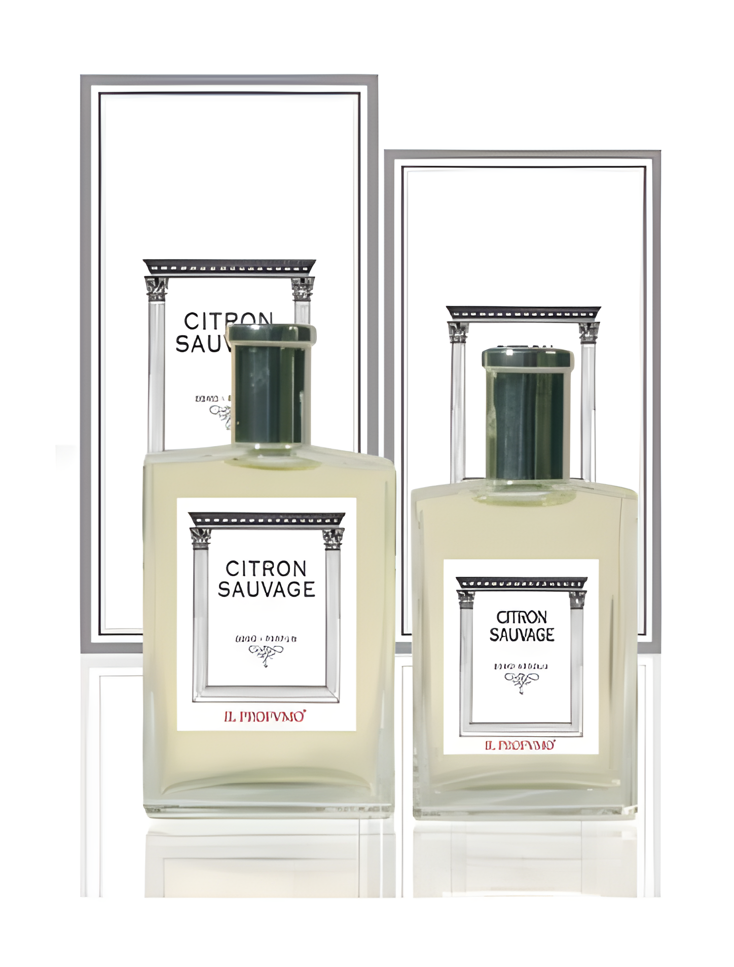 Osmo Scents Citron Sauvage by Il Profvmo perfume bottle