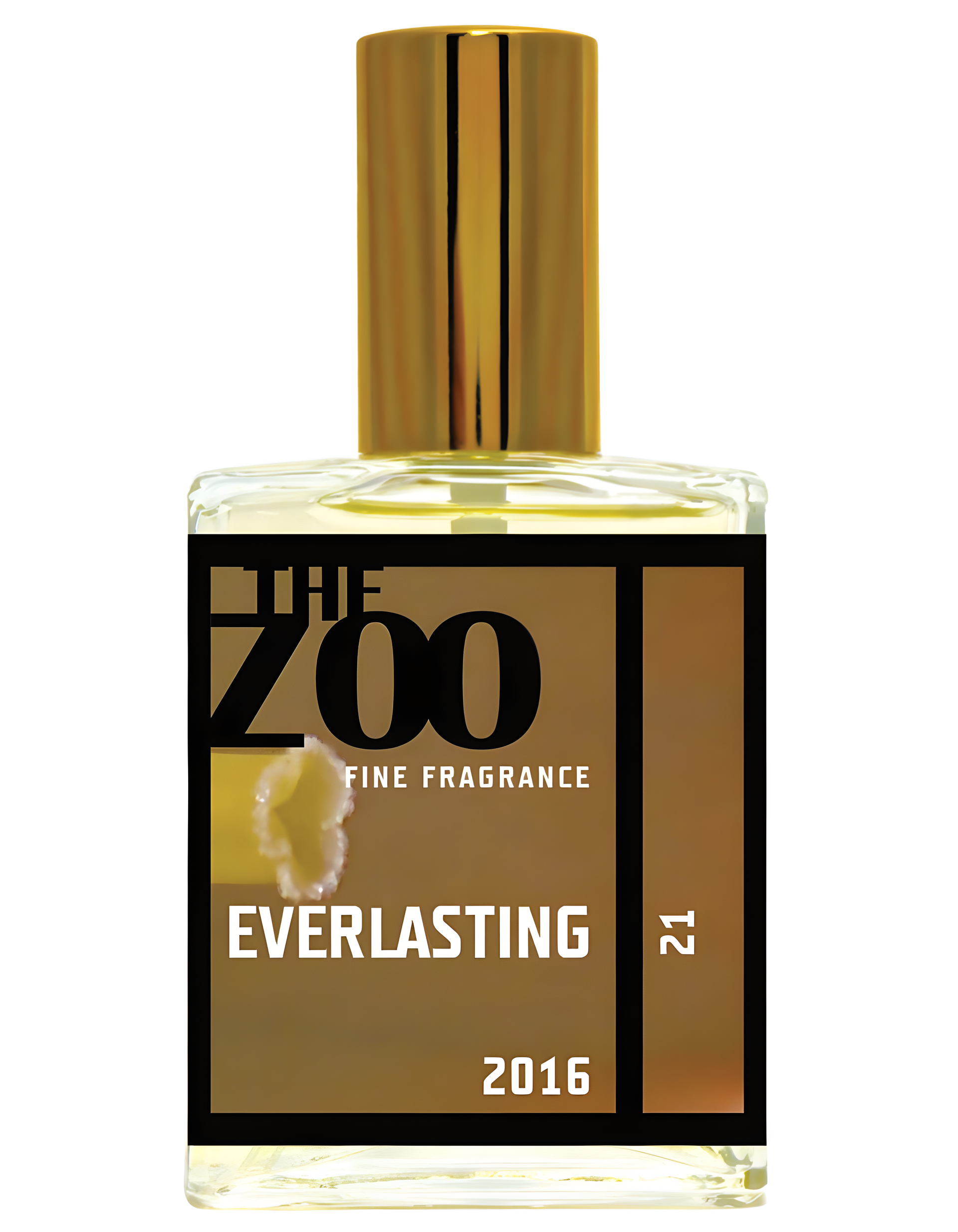 Everlasting by The Zoo perfume bottle