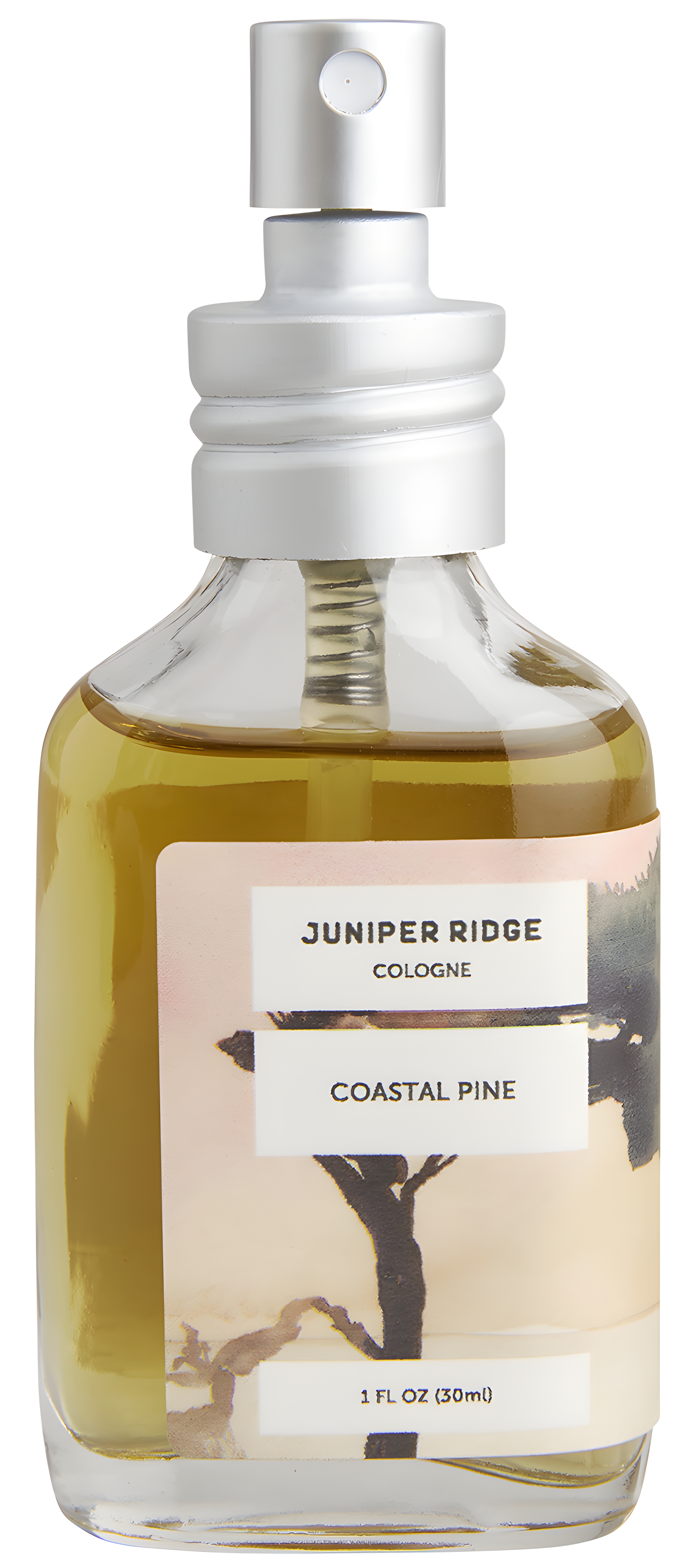 Coastal Pine Cologne by Juniper Ridge perfume bottle