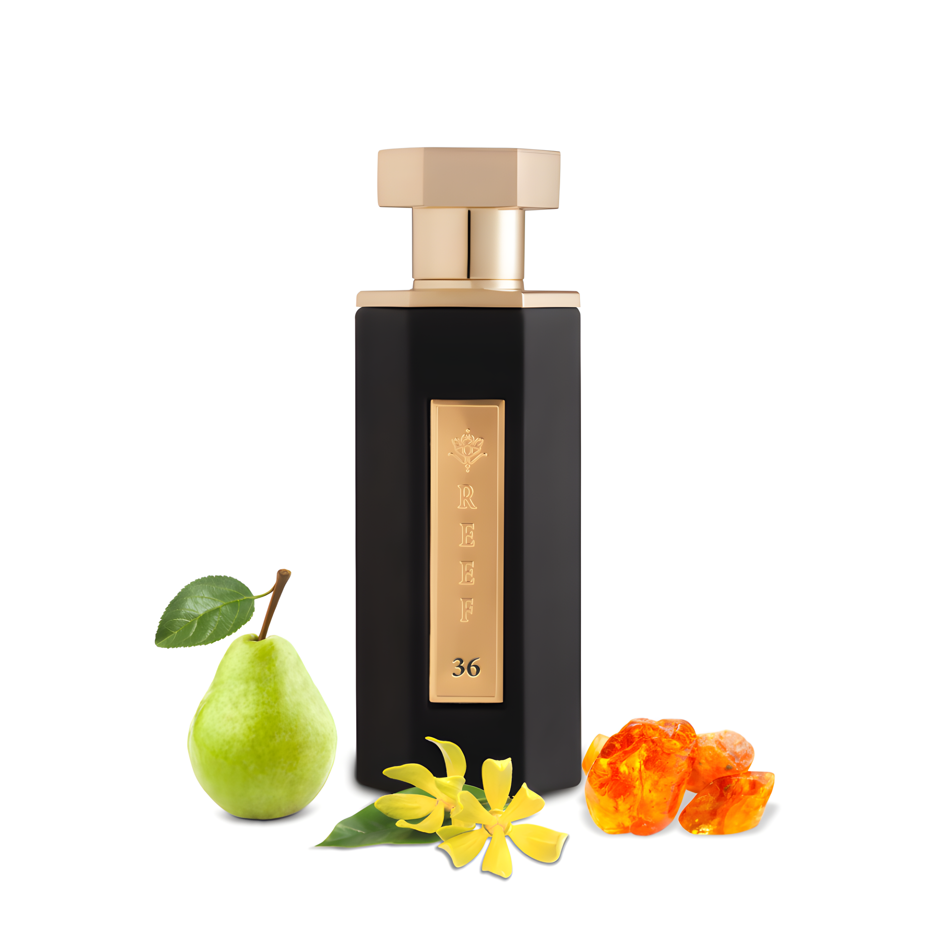 REEF 36 by Reef Perfumes perfume bottle