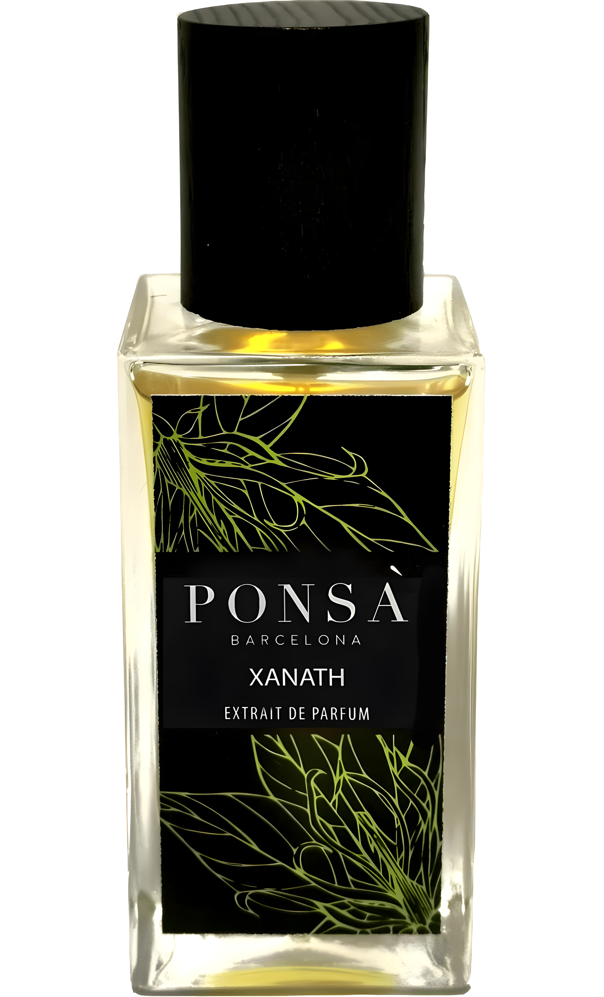 Xanath by Ponsa perfume bottle