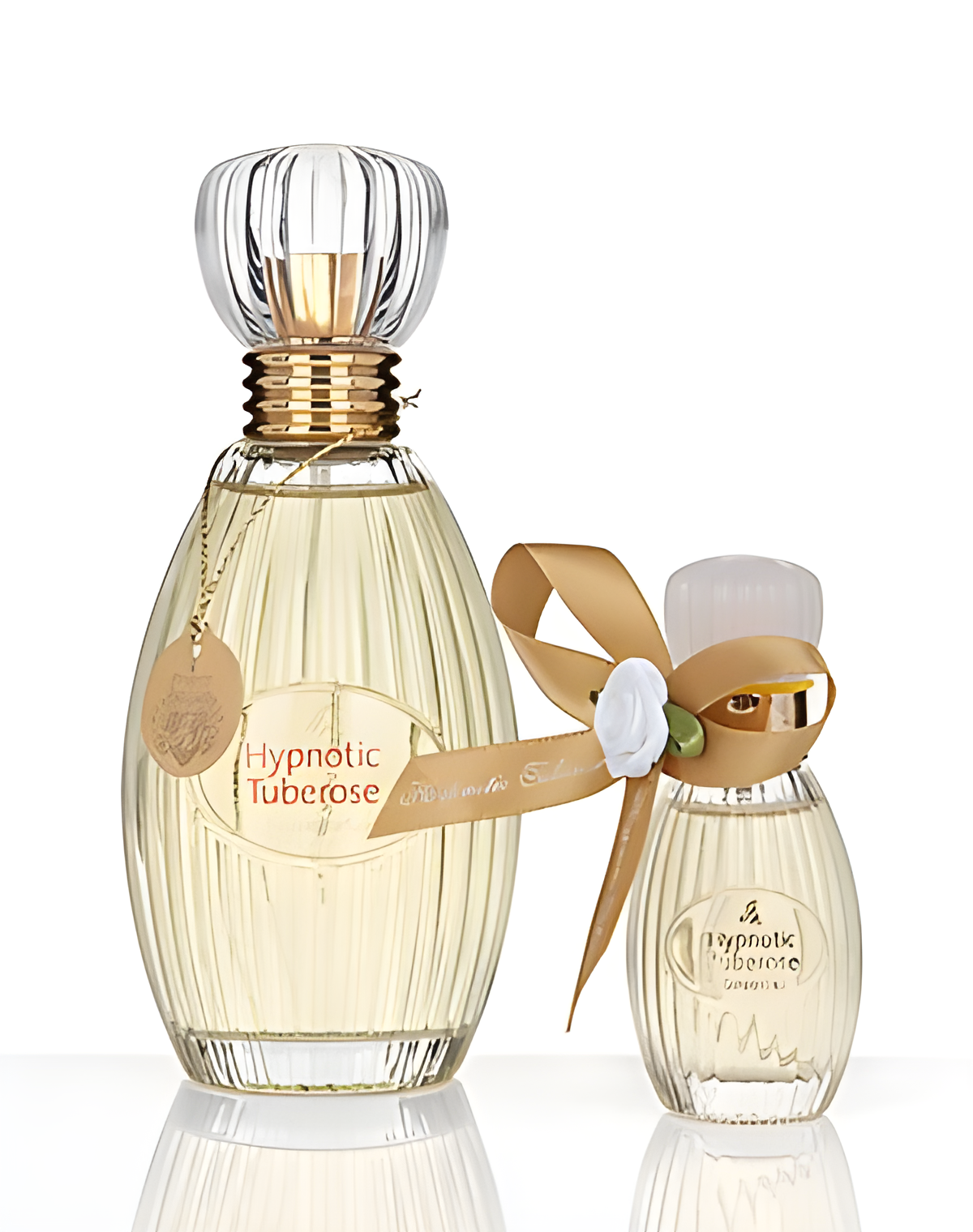 Hypnotic Tuberose by Judith Williams perfume bottle