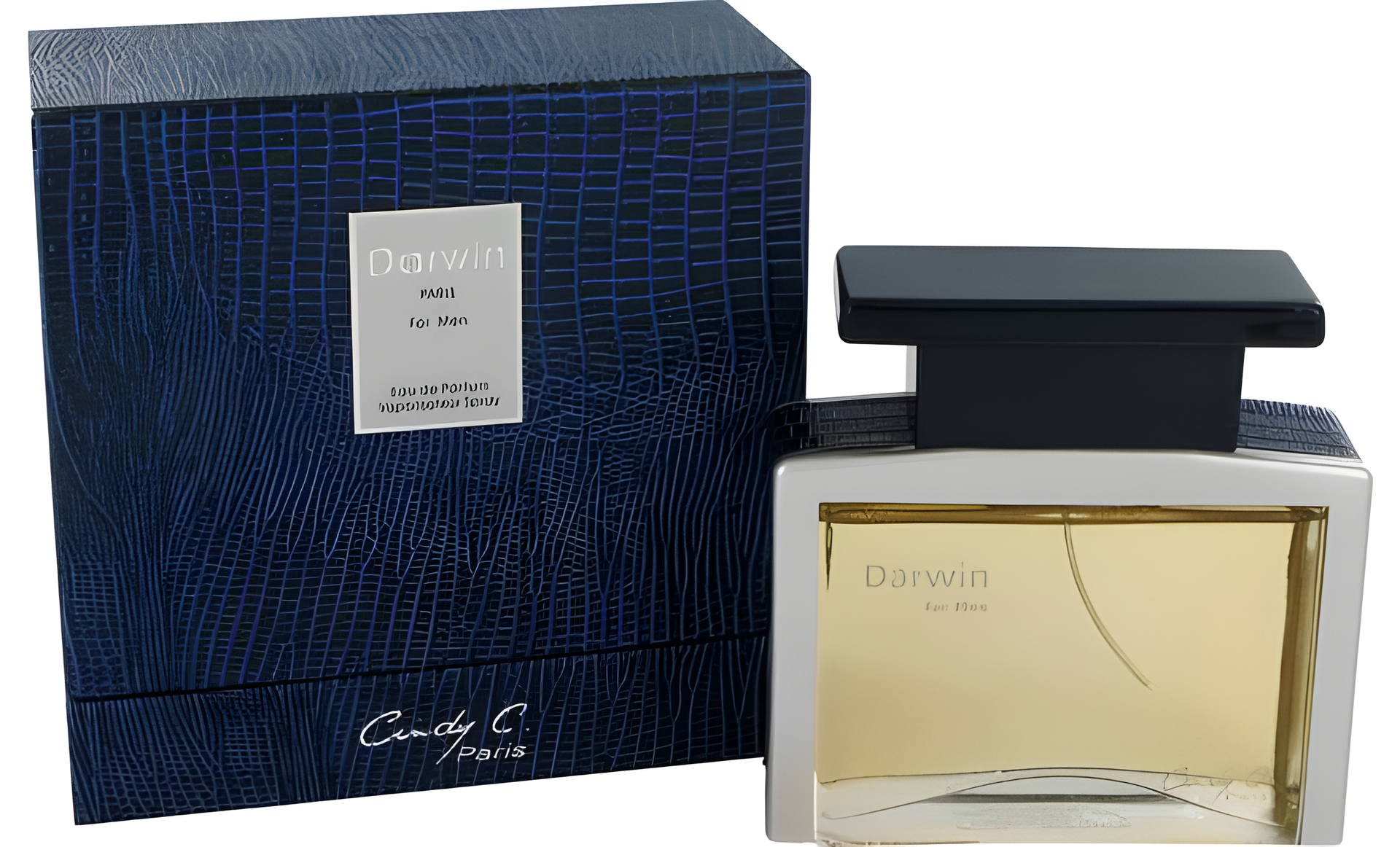 Darwin by Cindy C. perfume bottle