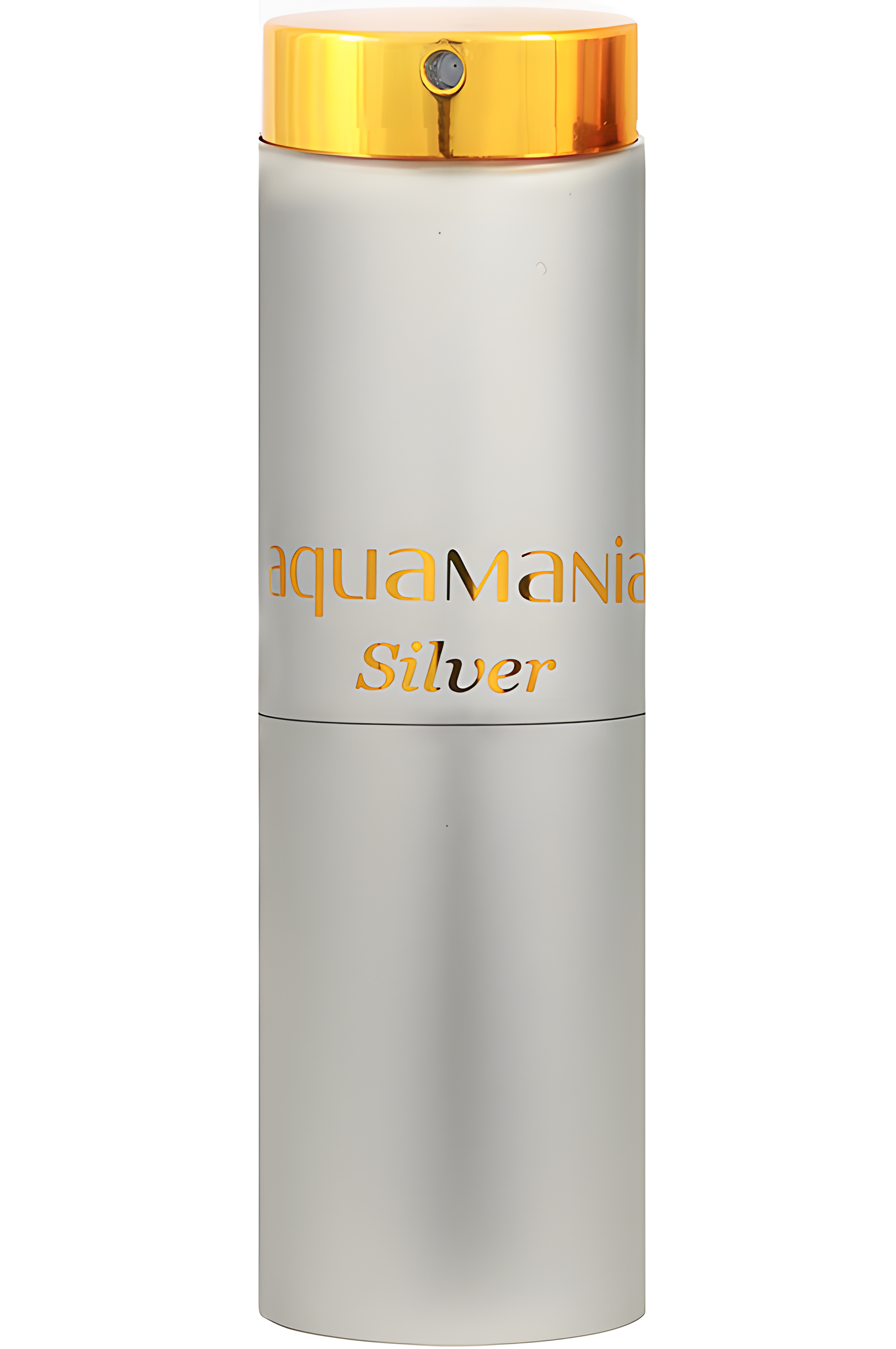 Aquamania Silver by Parfums Genty perfume bottle