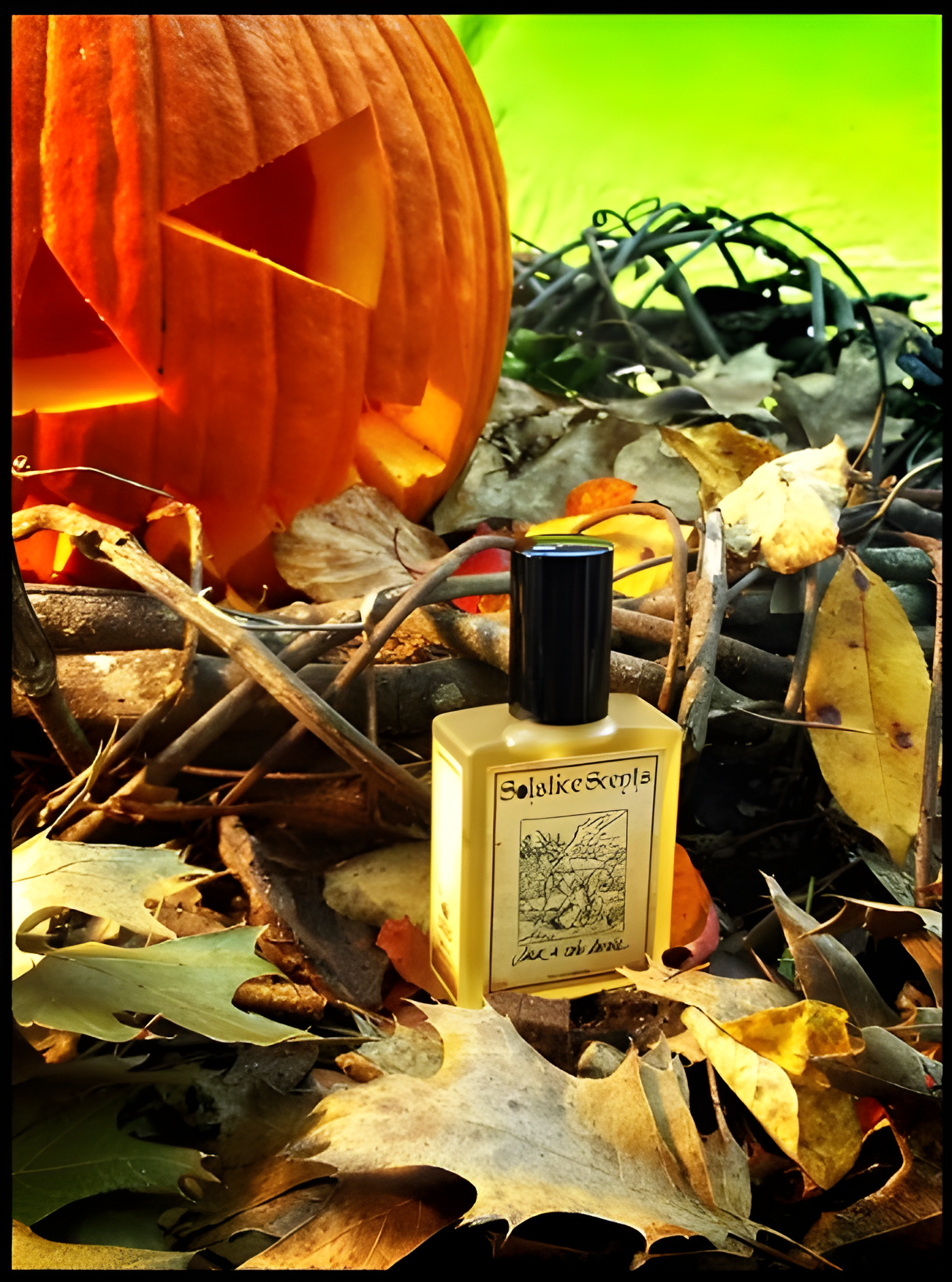 Jack and the Devil by Solstice Scents perfume bottle