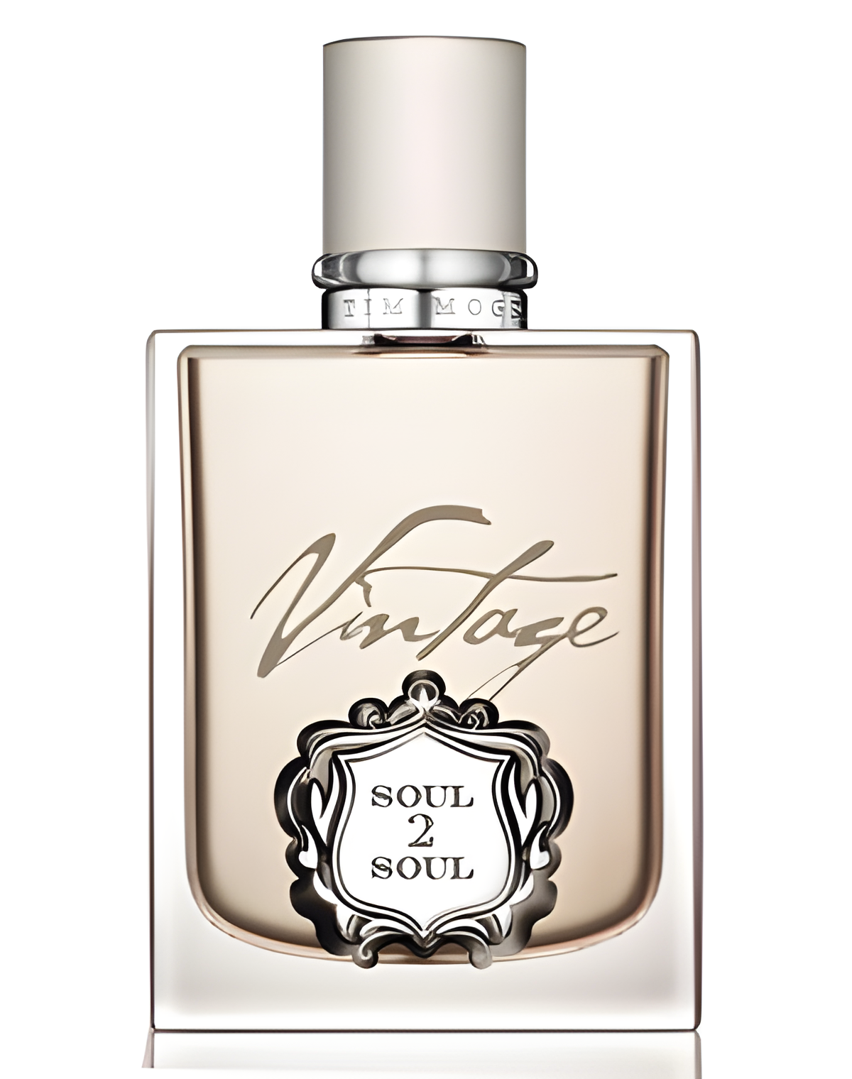 Tim McGraw Soul2Soul Vintage by Tim McGraw perfume bottle