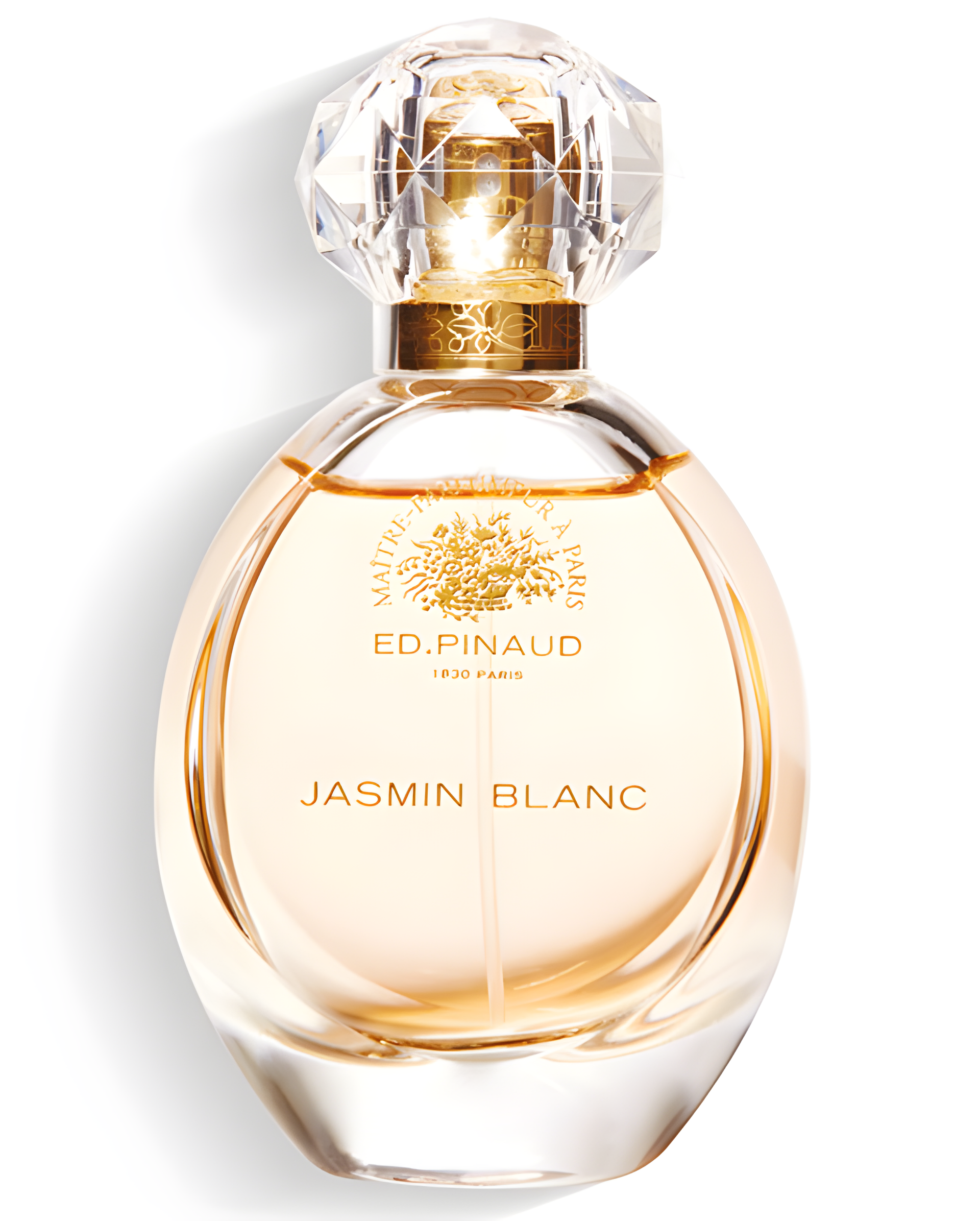 Jasmin Blanc by Ed Pinaud perfume bottle