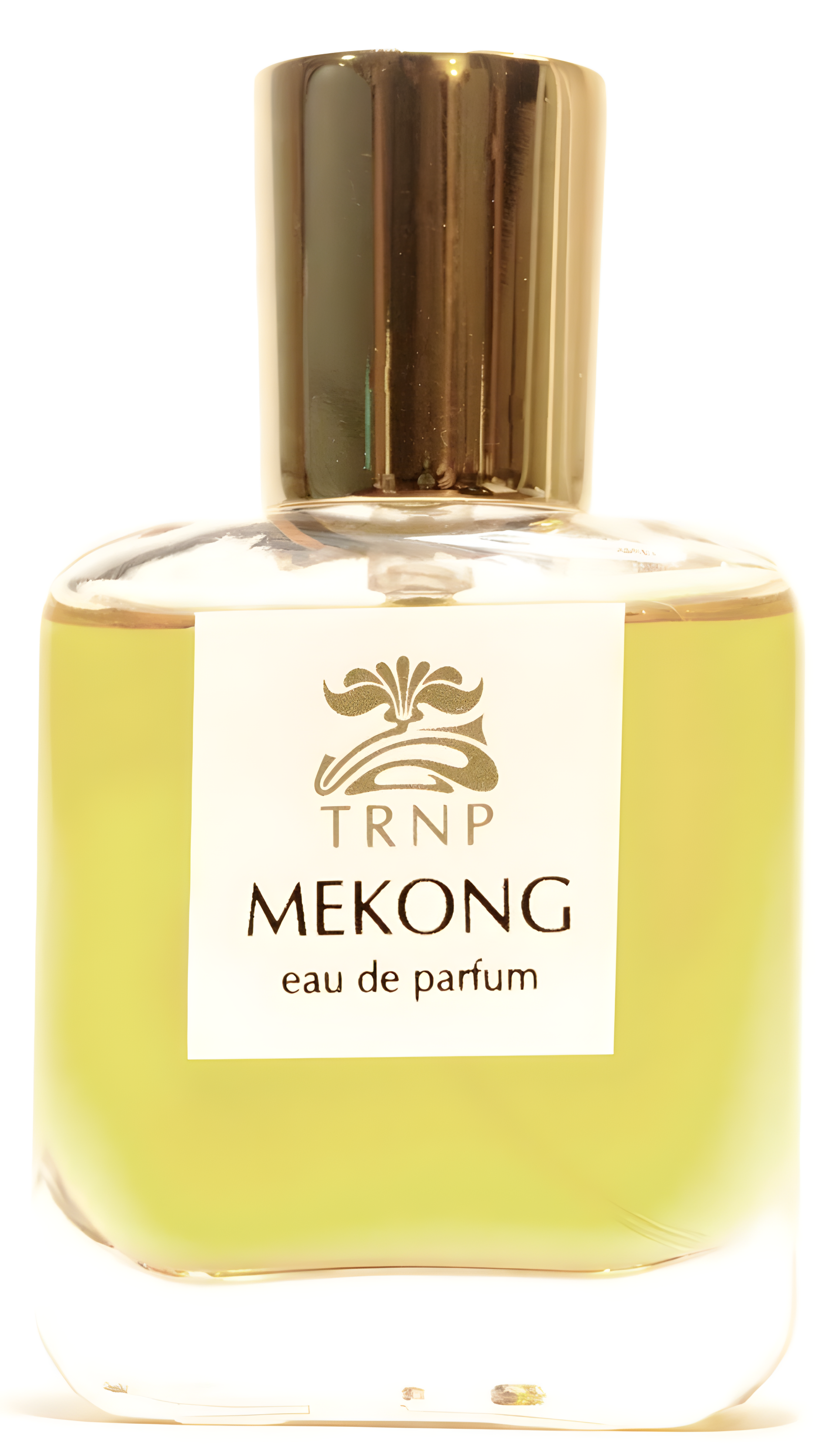 Mekong by Extract perfume bottle