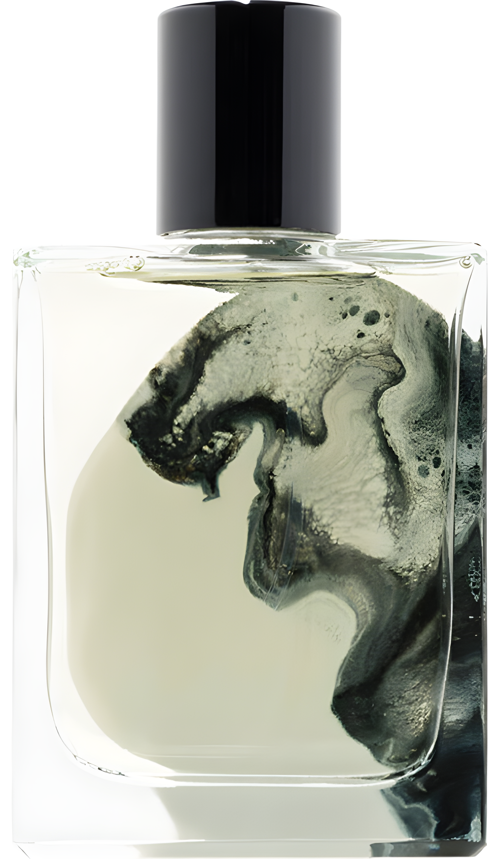A Marvellous Entanglement by La Folie a Plusieurs perfume bottle