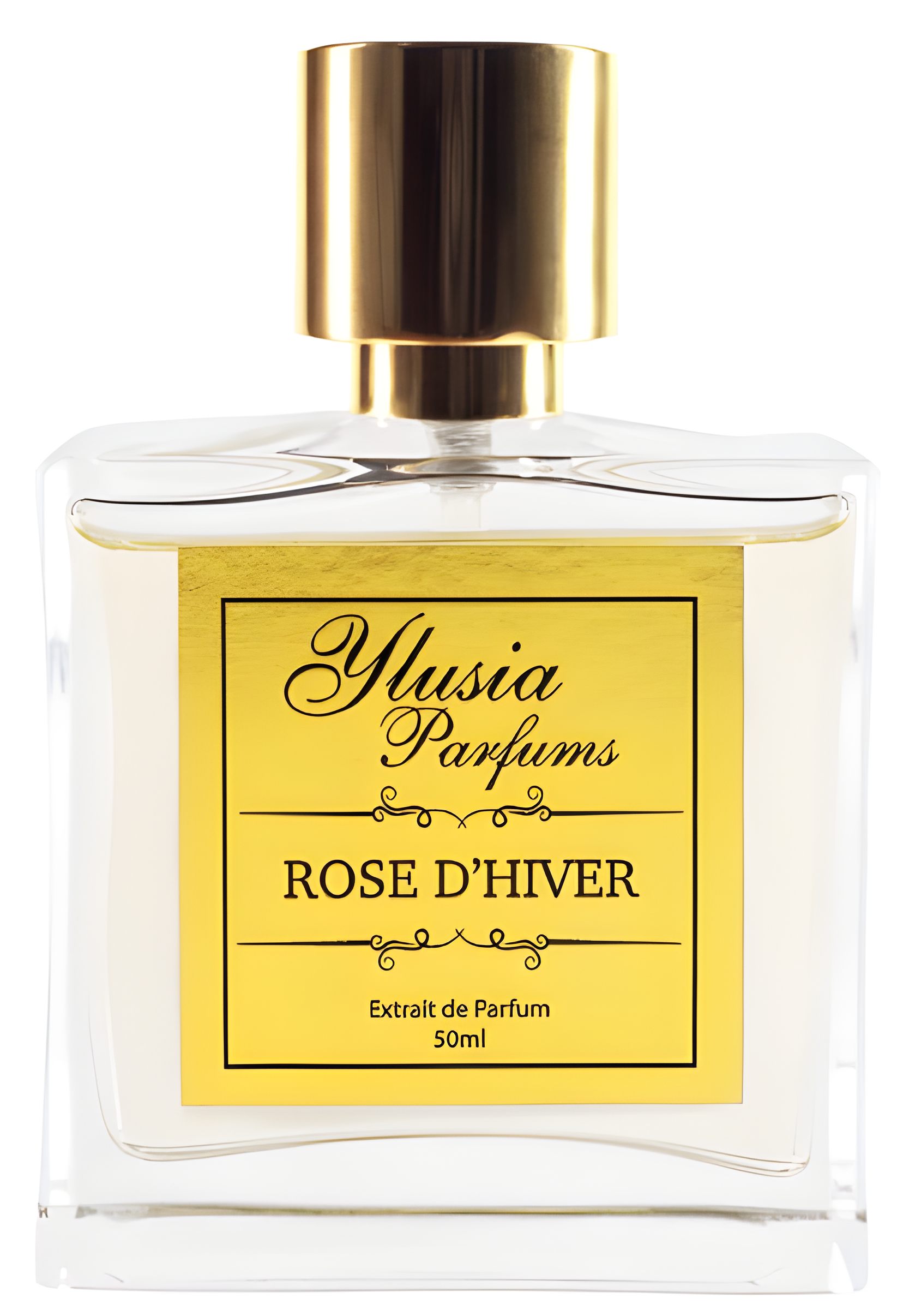 Rose d'Hiver by Ylusia Parfums perfume bottle