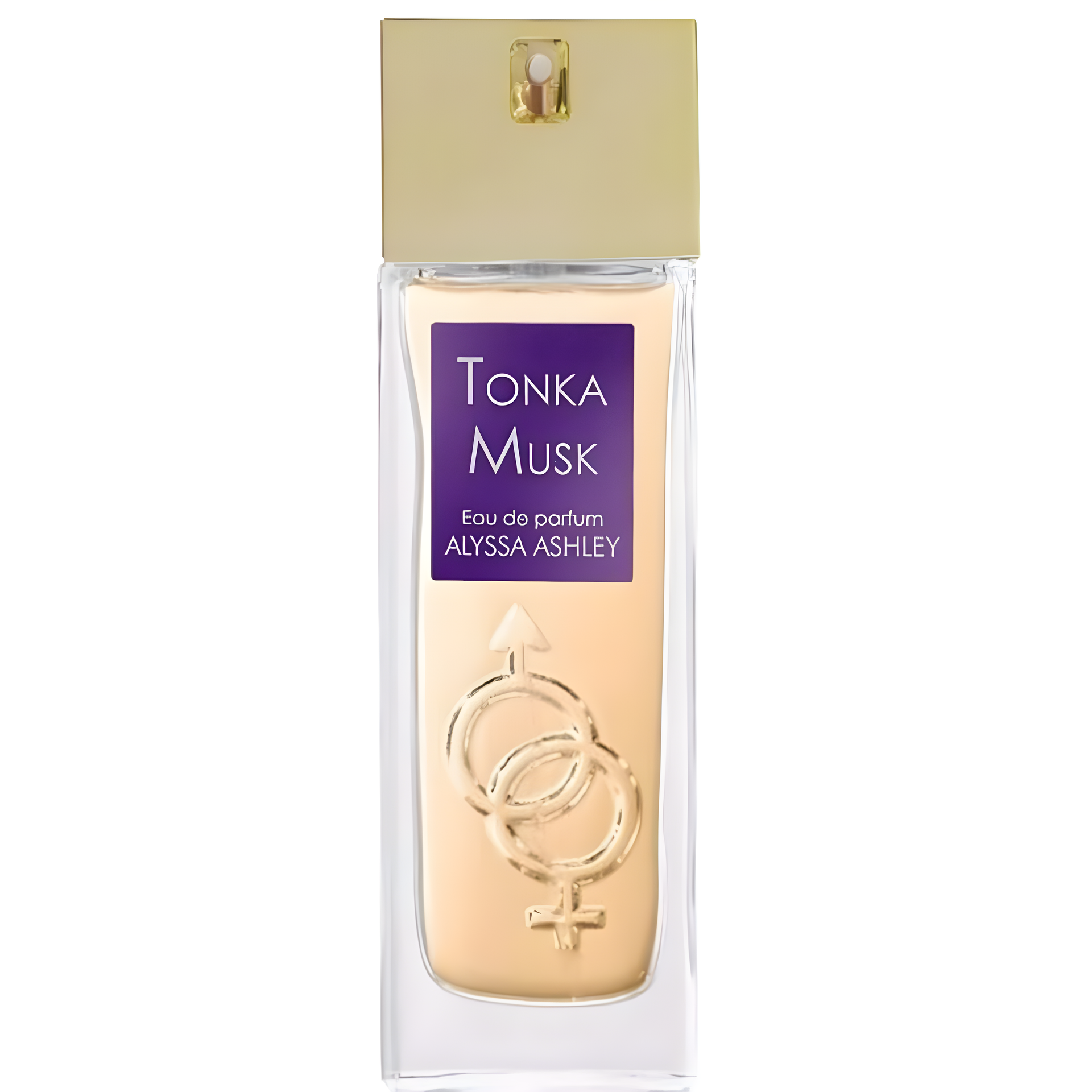 Tonka Musk by Alyssa Ashley perfume bottle