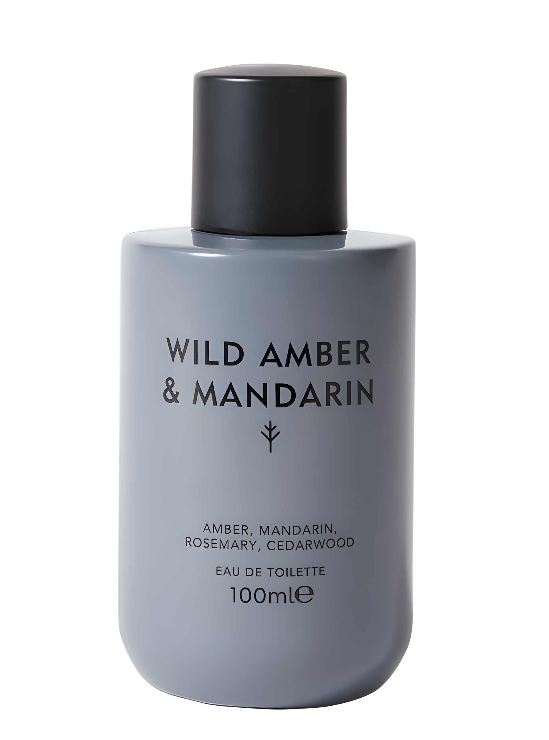 Wild Amber & Mandarin by Marks & Spencer perfume bottle