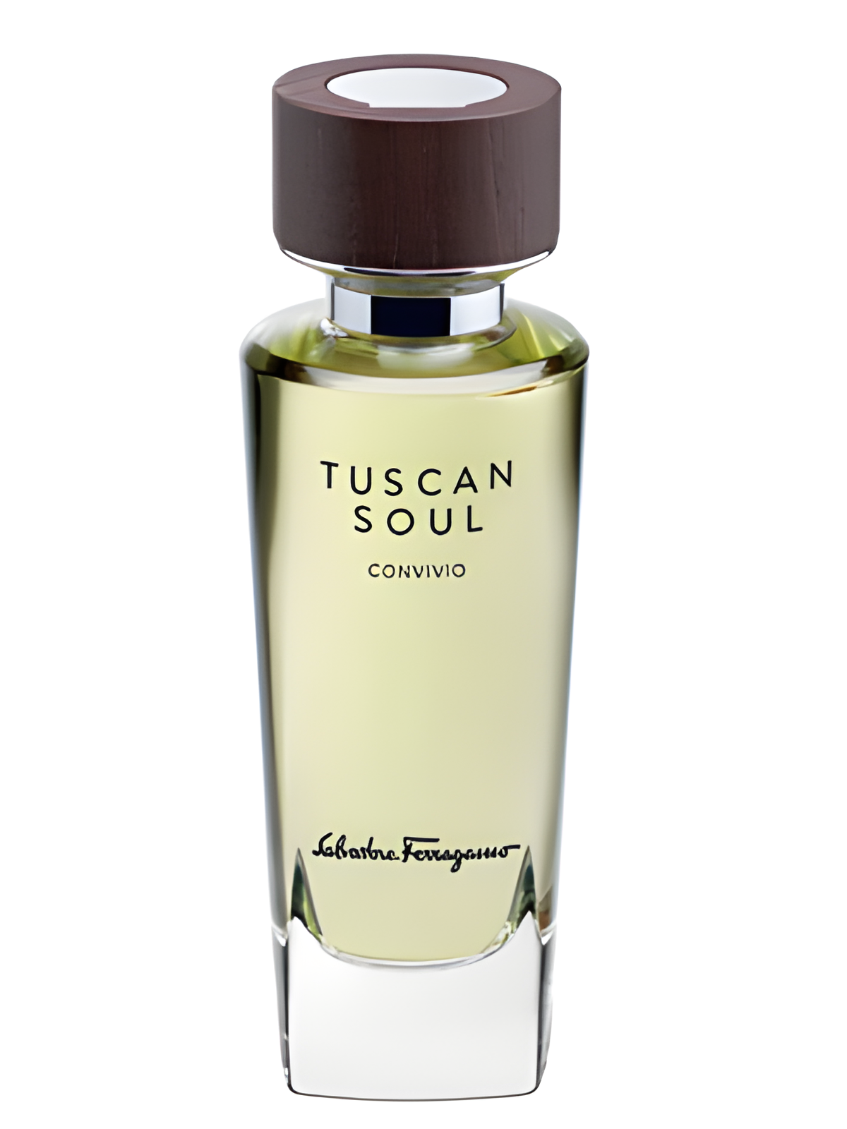 Convivio (2013) by Salvatore Ferragamo perfume bottle