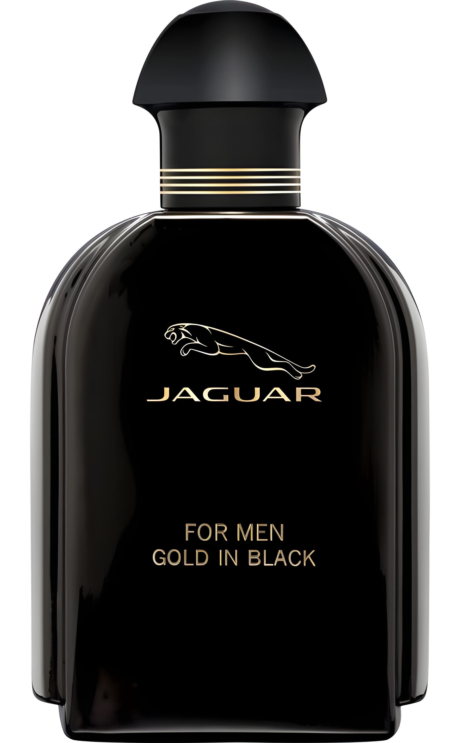 Jaguar for Men Gold in Black by Jaguar perfume bottle