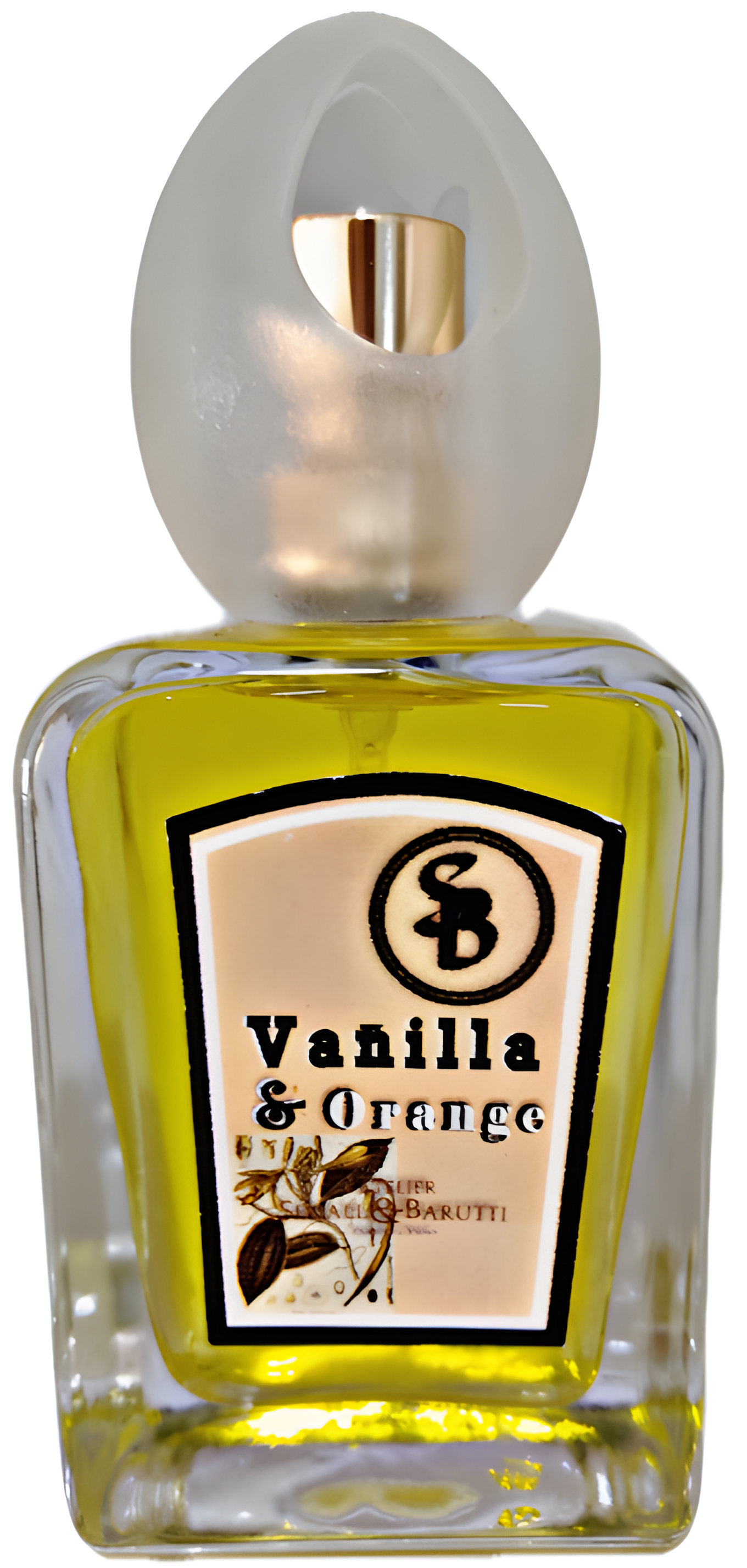 Vanilla & Orange by Atelier Segall & Barutti perfume bottle