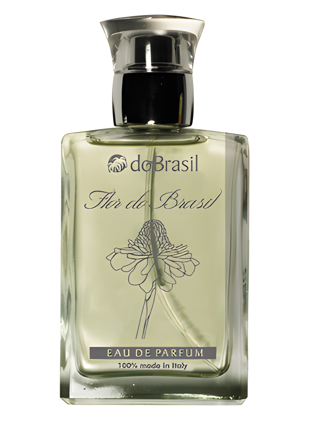 Flor Do Brasil by Do Brasil perfume bottle