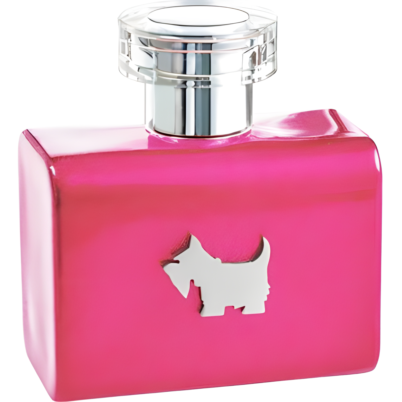 Terrier Pink by Ferrioni perfume bottle