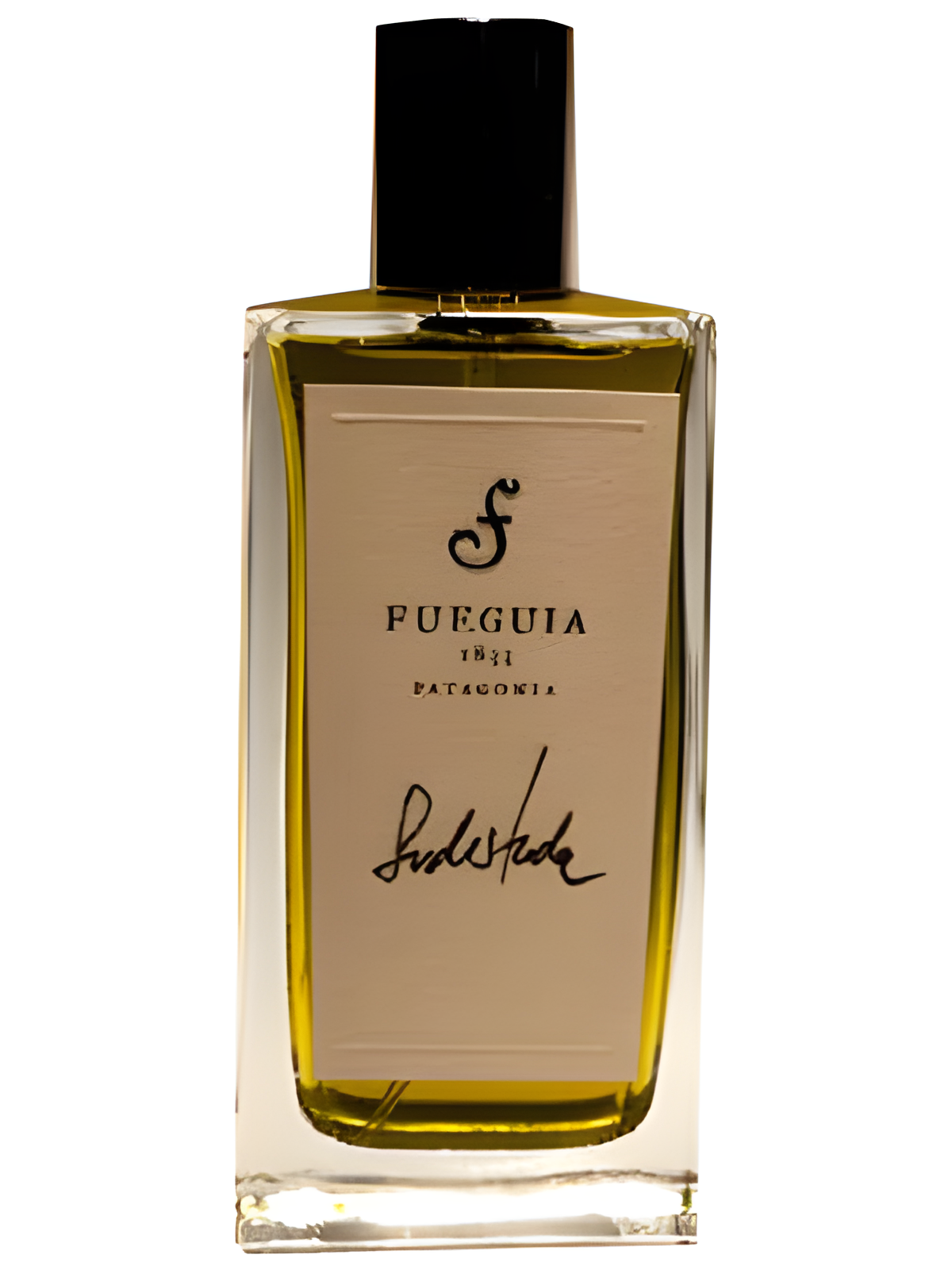 Sudestada by Fueguia 1833 perfume bottle