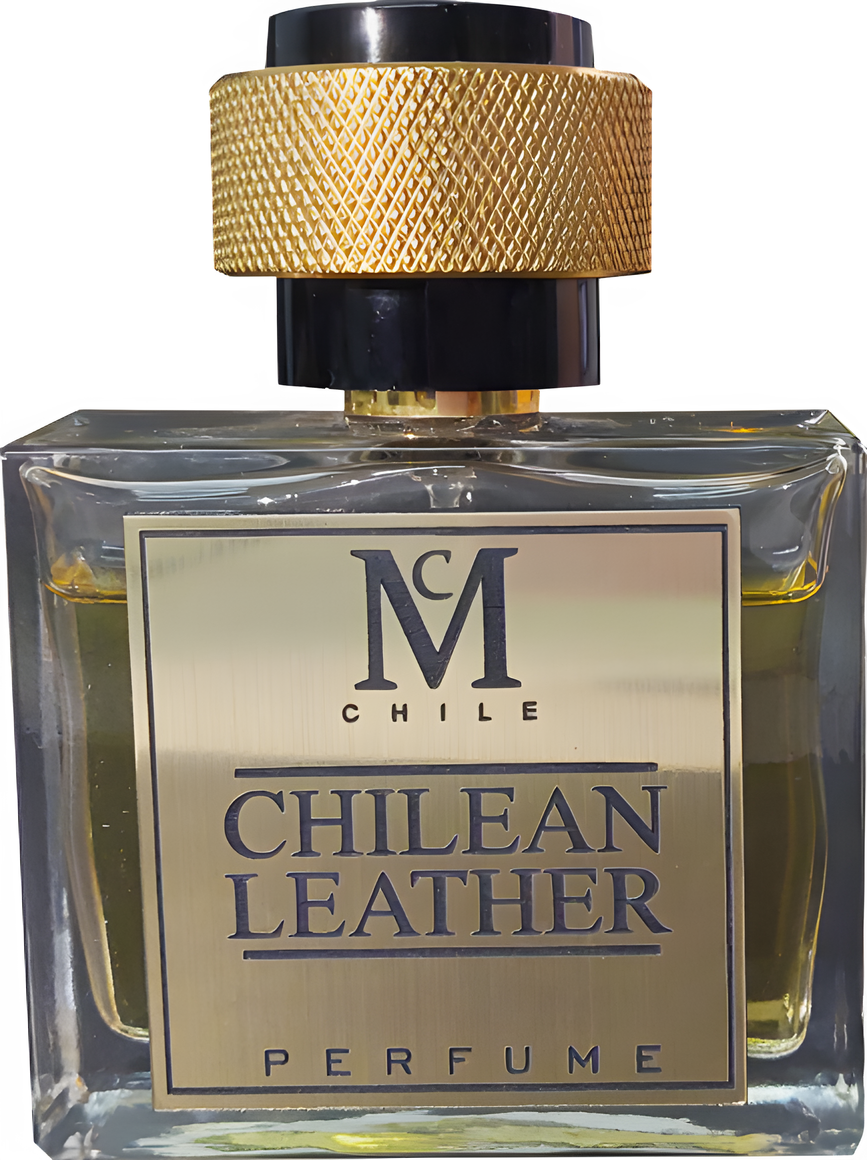 Chilean Leather by Casaniche perfume bottle