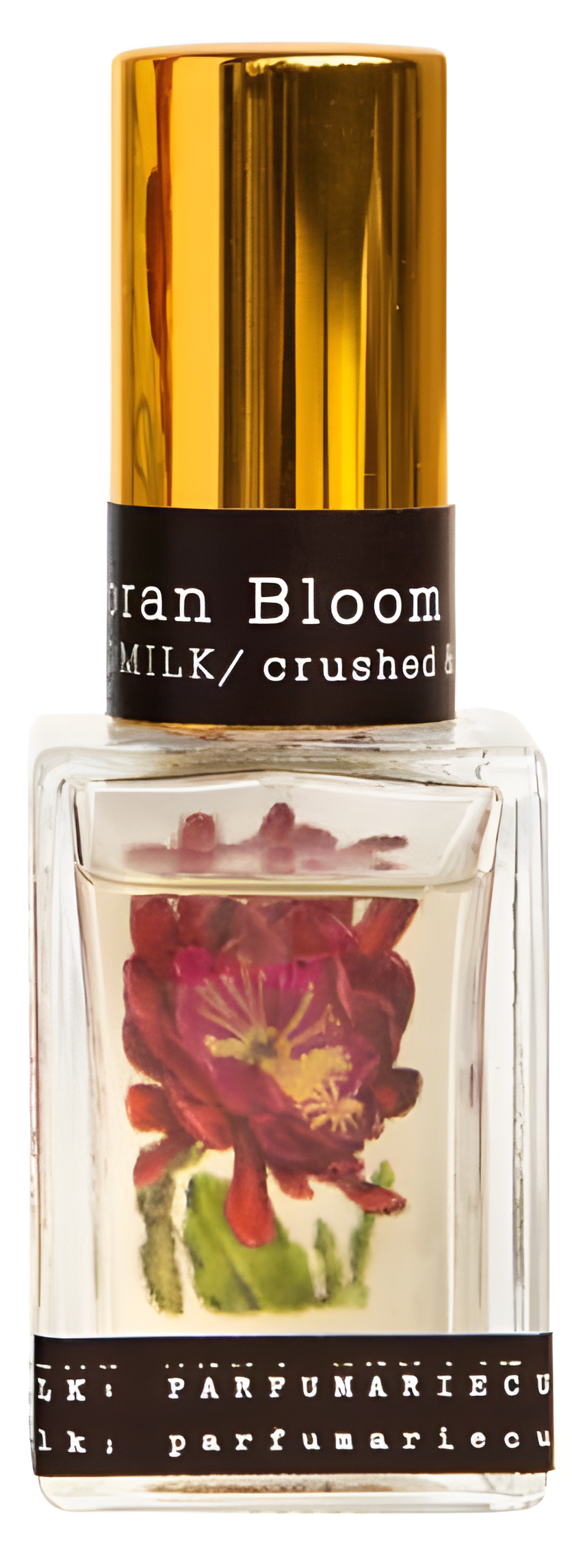 Sonoran Bloom by Tokyo Milk Parfumerie Curiosite perfume bottle