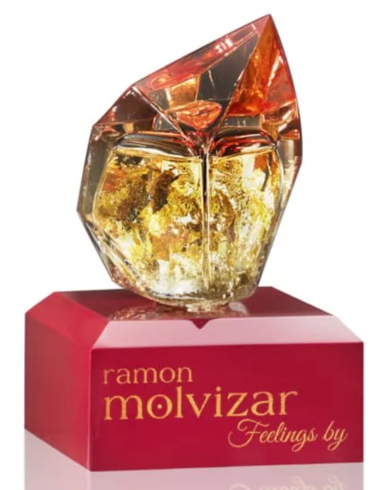 Feelings by Ramon Molvizar perfume bottle