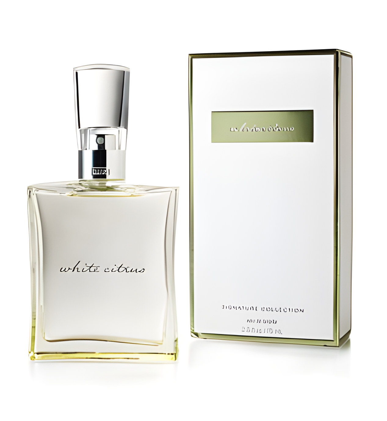 White Citrus Eau de Toilette by Bath & Body Works perfume bottle