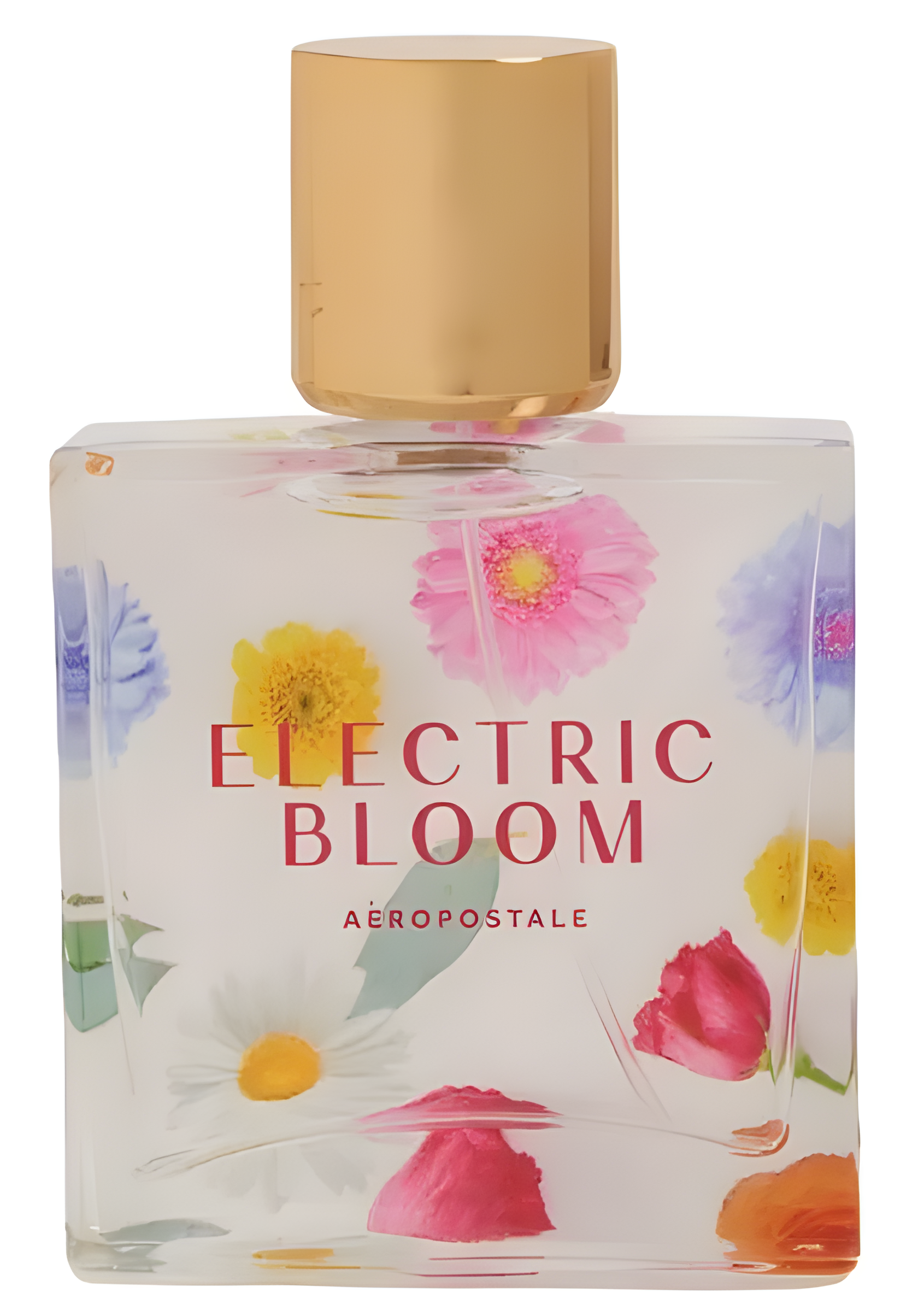 Eletric Bloom by Aéropostale perfume bottle