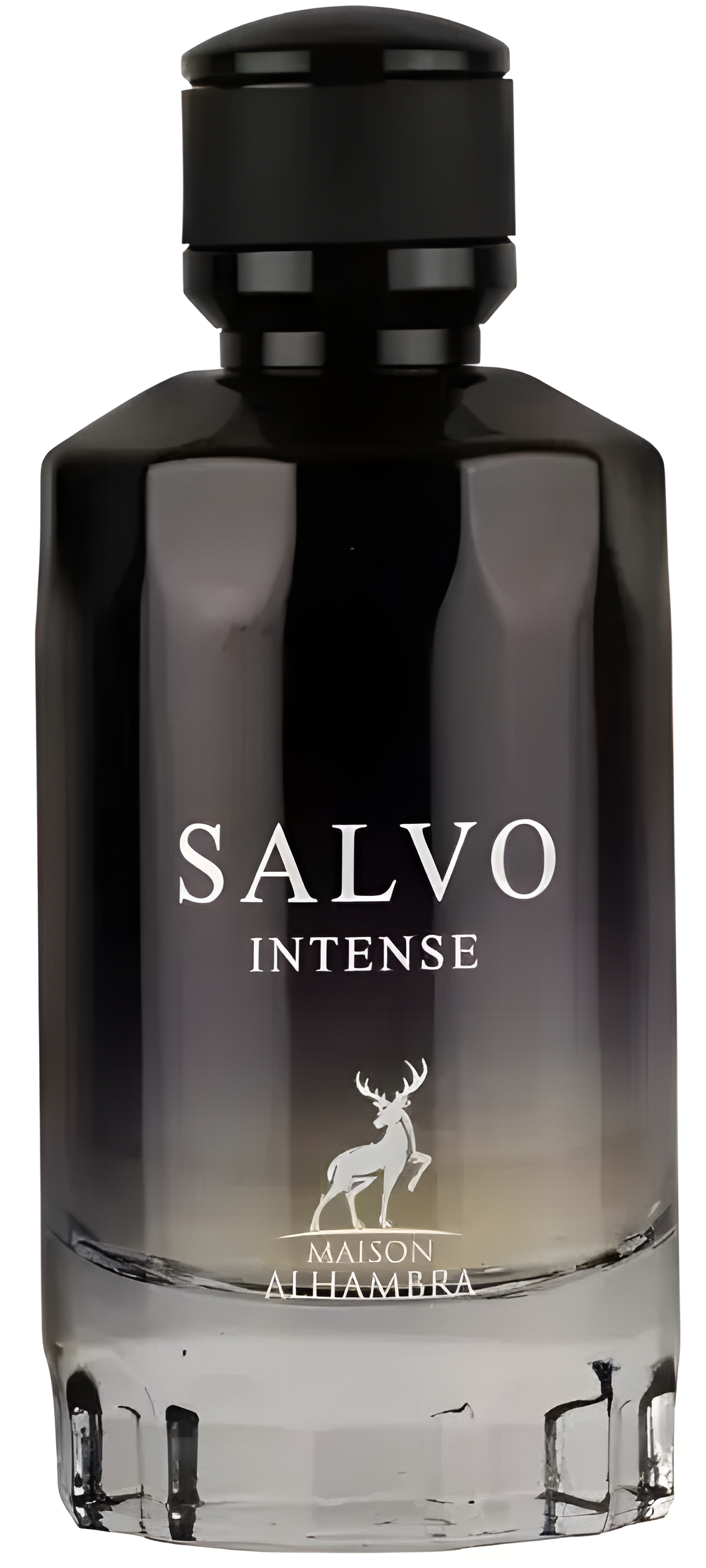 Salvo Intense by Maison Alhambra perfume bottle