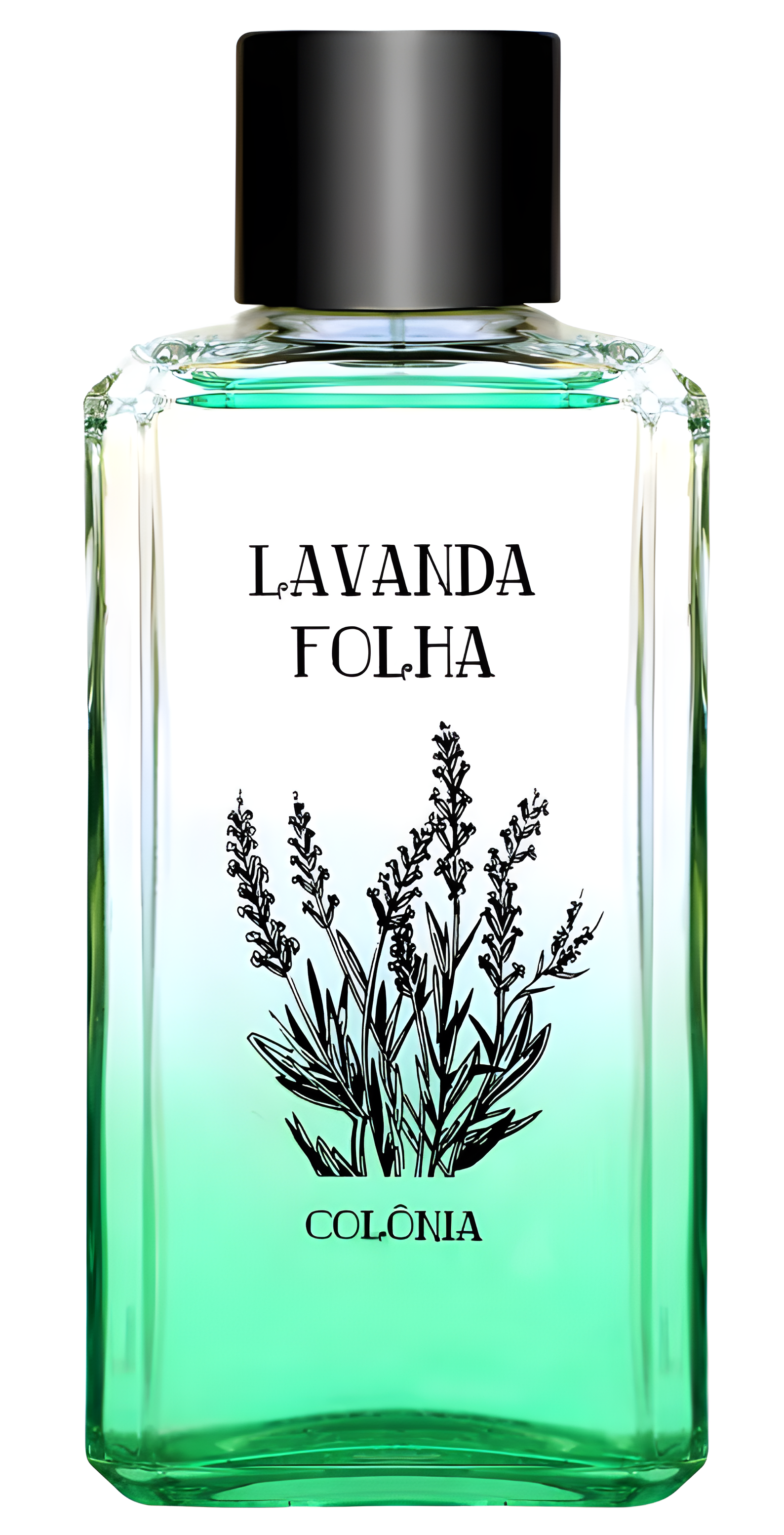 Lavanda Folha by Phebo perfume bottle