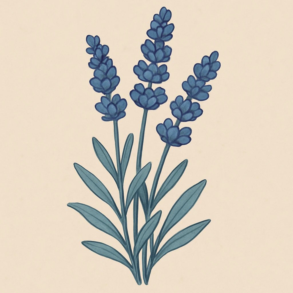 Picture of Blue Lavender note