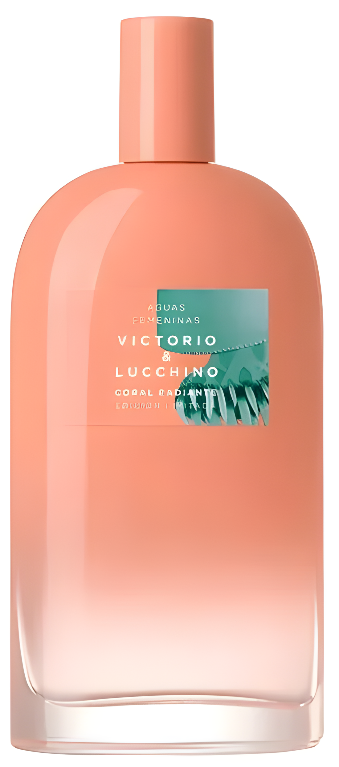 Coral Radiante by Victorio & Lucchino perfume bottle