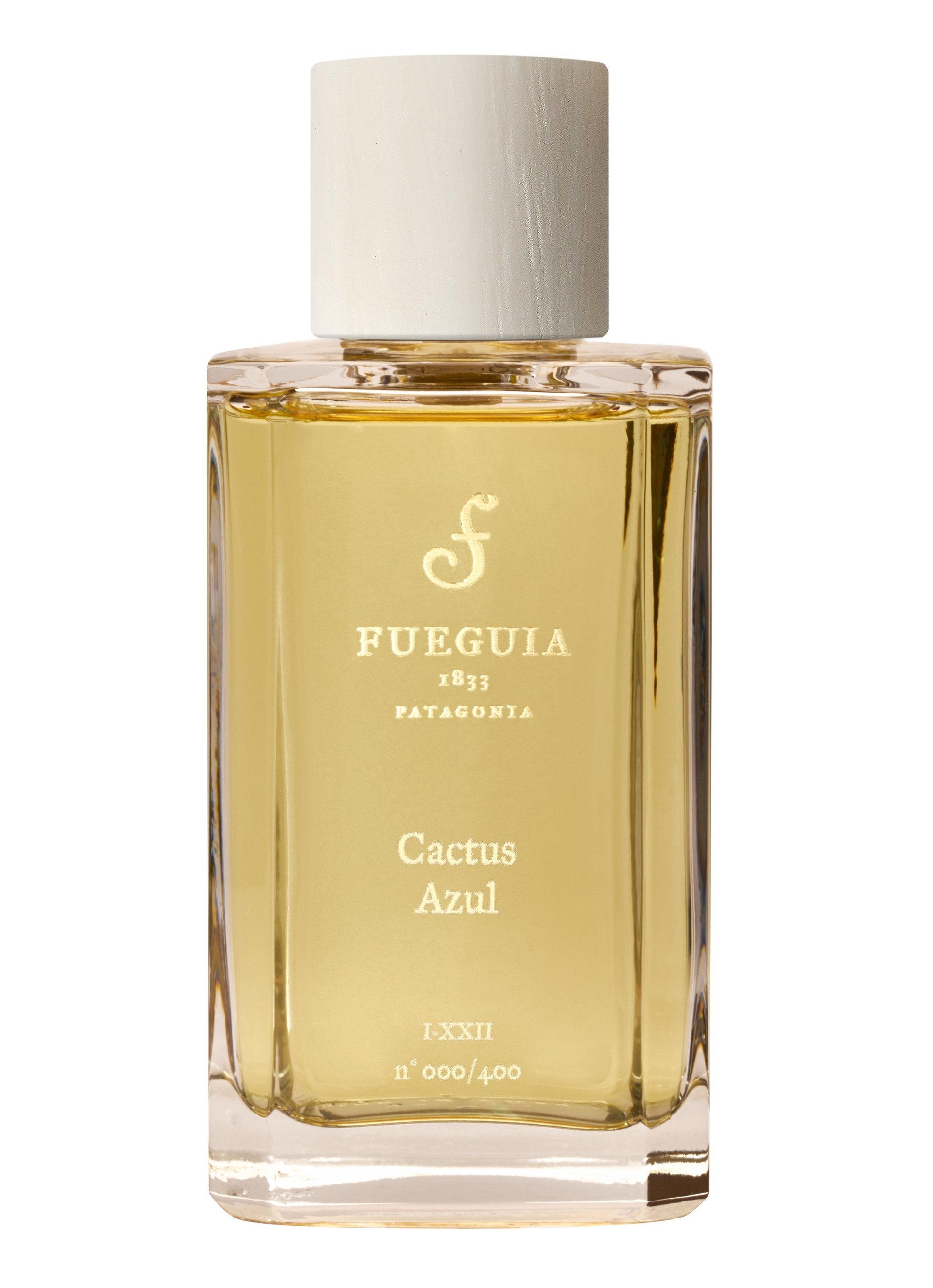 Cactus Azul (new) by Fueguia 1833 perfume bottle