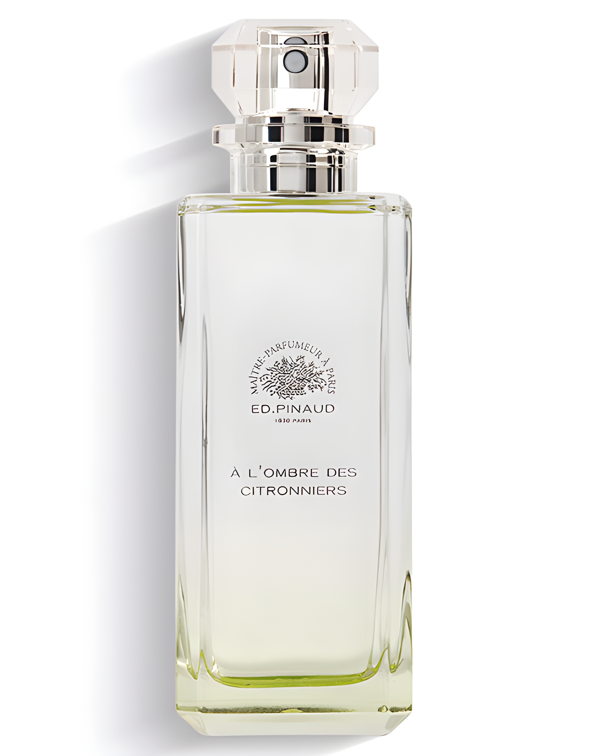 A l'Ombre Des Citronniers by Ed Pinaud perfume bottle