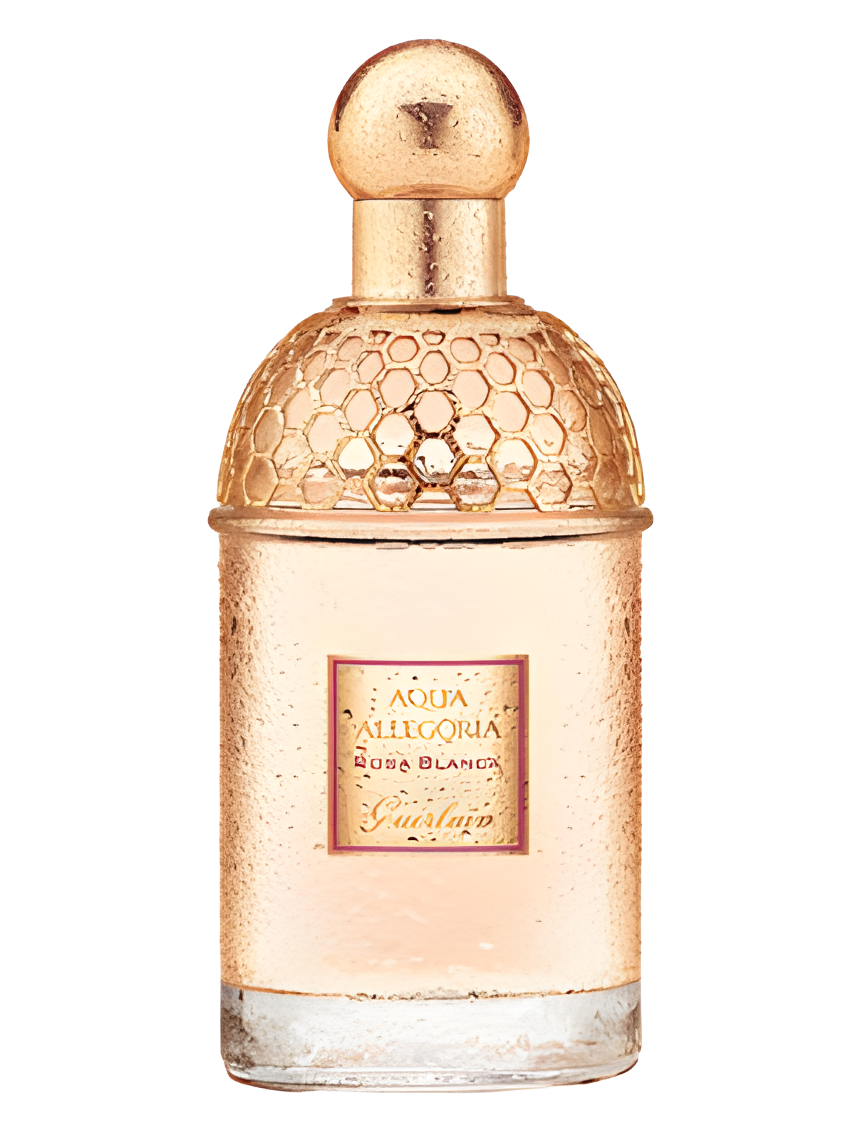 Aqua Allegoria Rosa Blanca by Guerlain perfume bottle