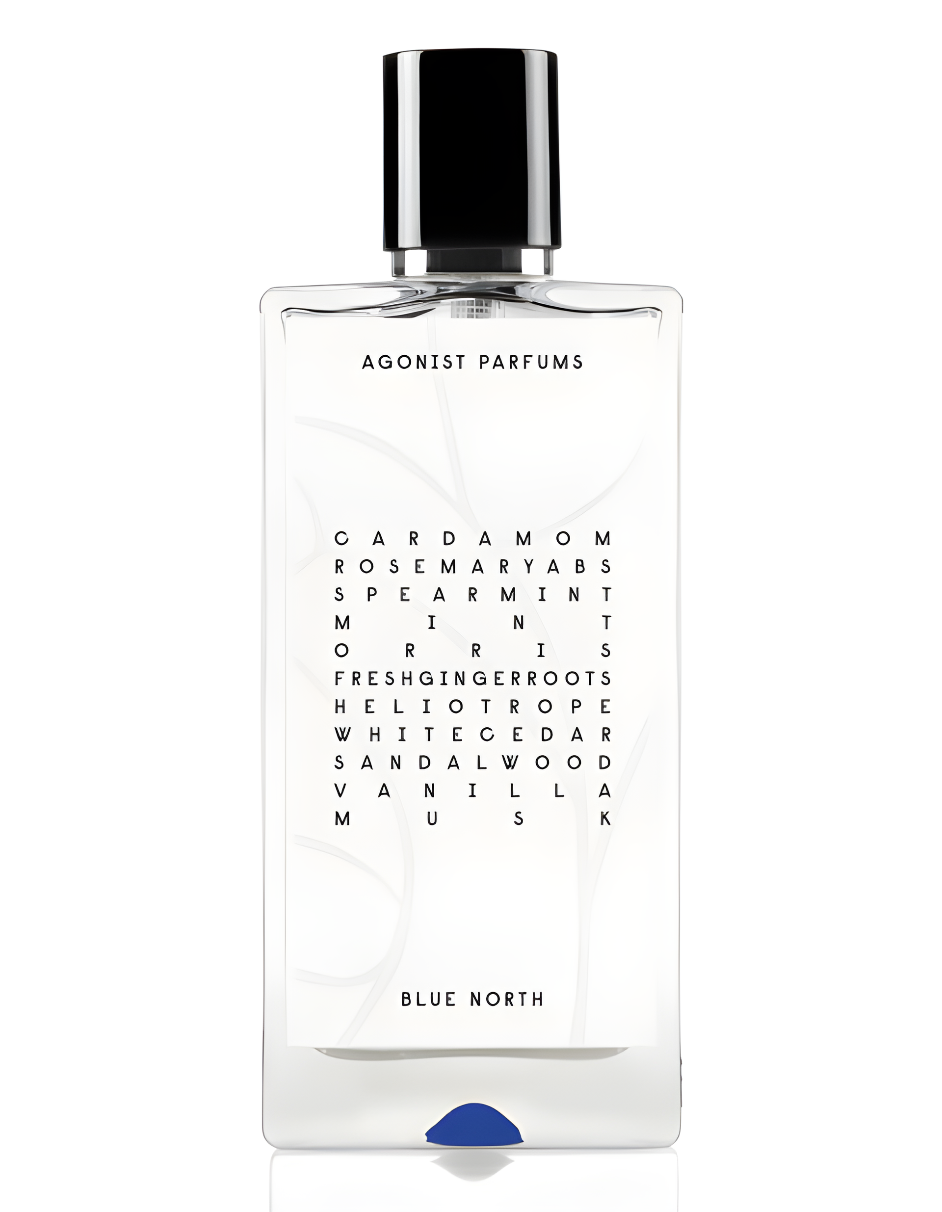 Blue North by Agonist perfume bottle