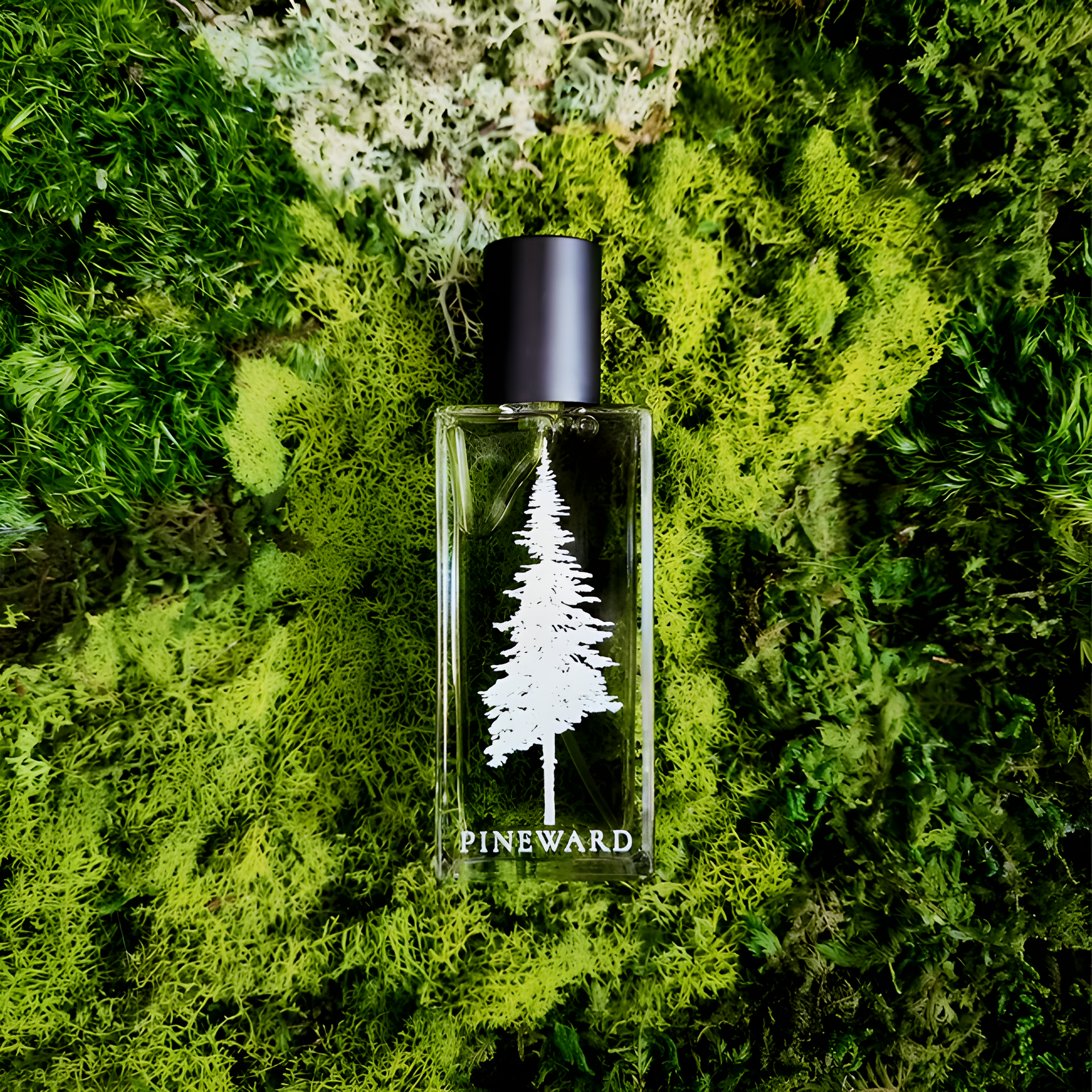 Acadian by Pineward Perfumes perfume bottle