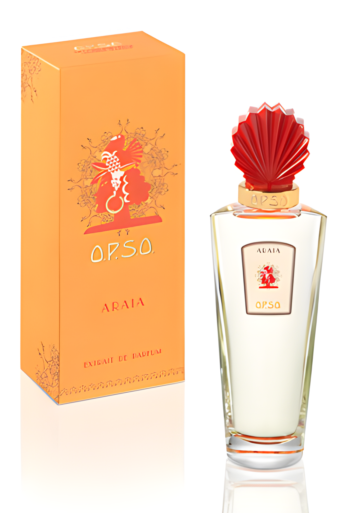 Araia by O.P.S.O. perfume bottle