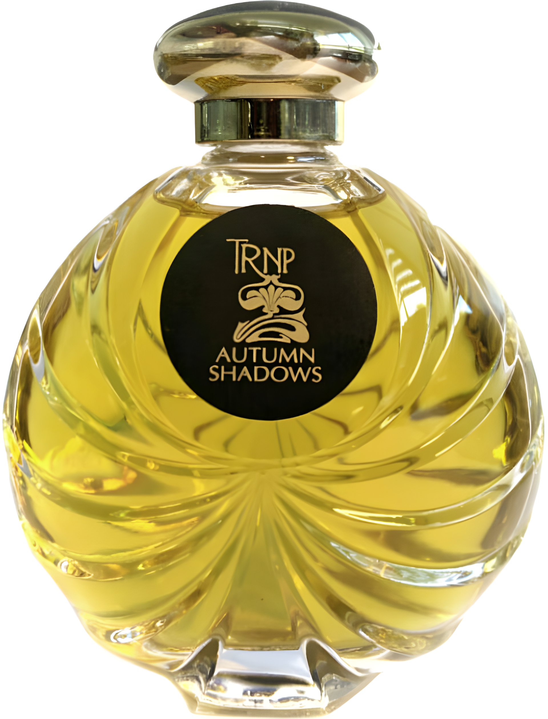 Autumn Shadows by TRNP perfume bottle