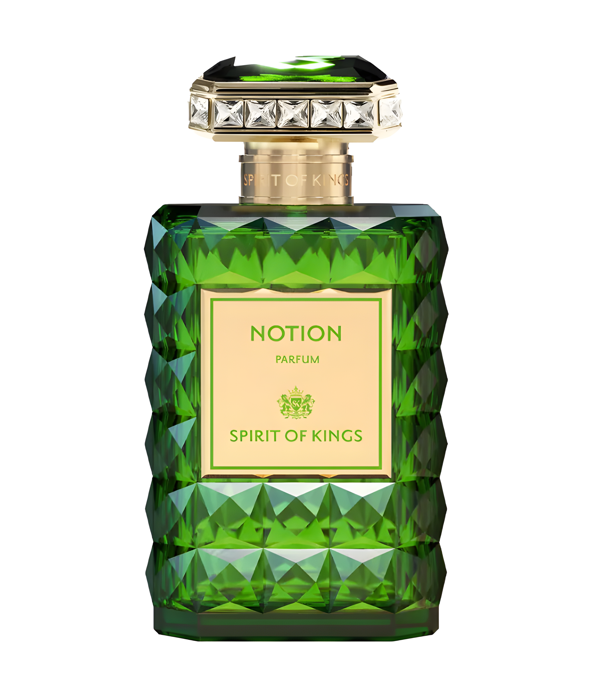 Notion by Spirit Of Kings perfume bottle