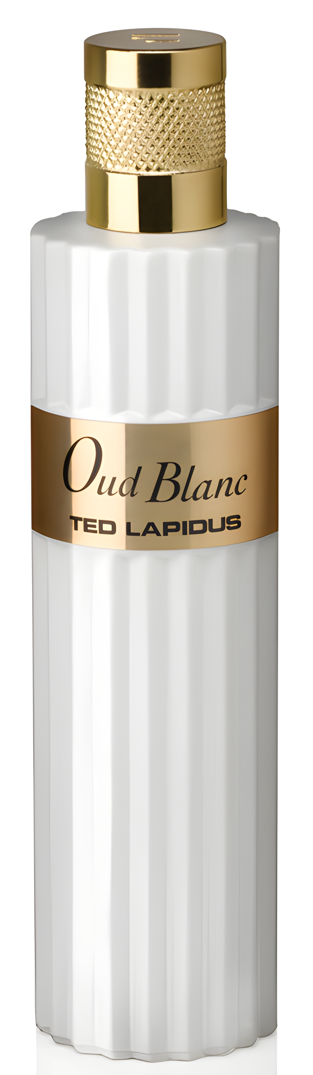 Oud Blanc by Ted Lapidus perfume bottle