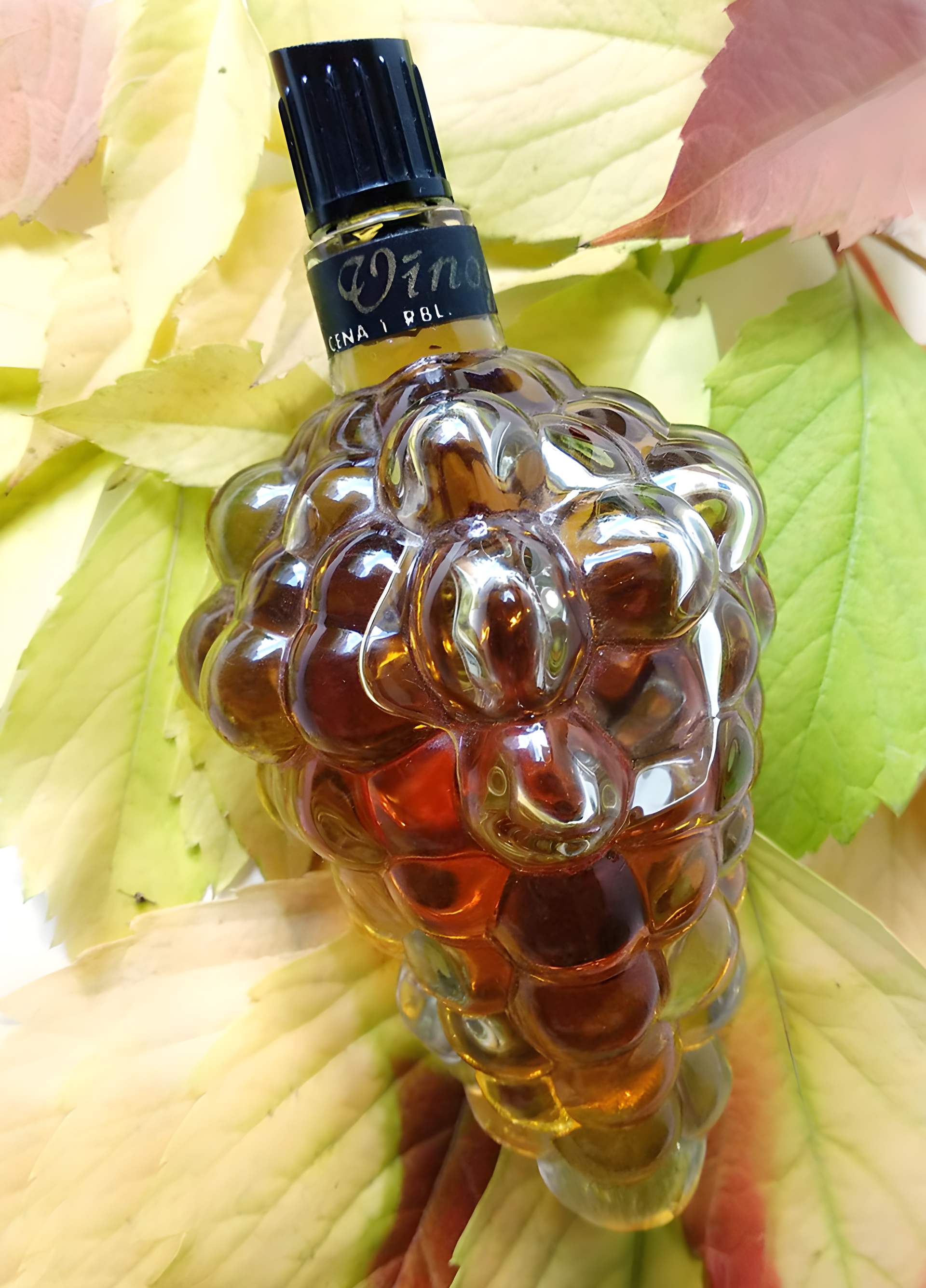 Vinogas (Виноград) by Dzintars perfume bottle