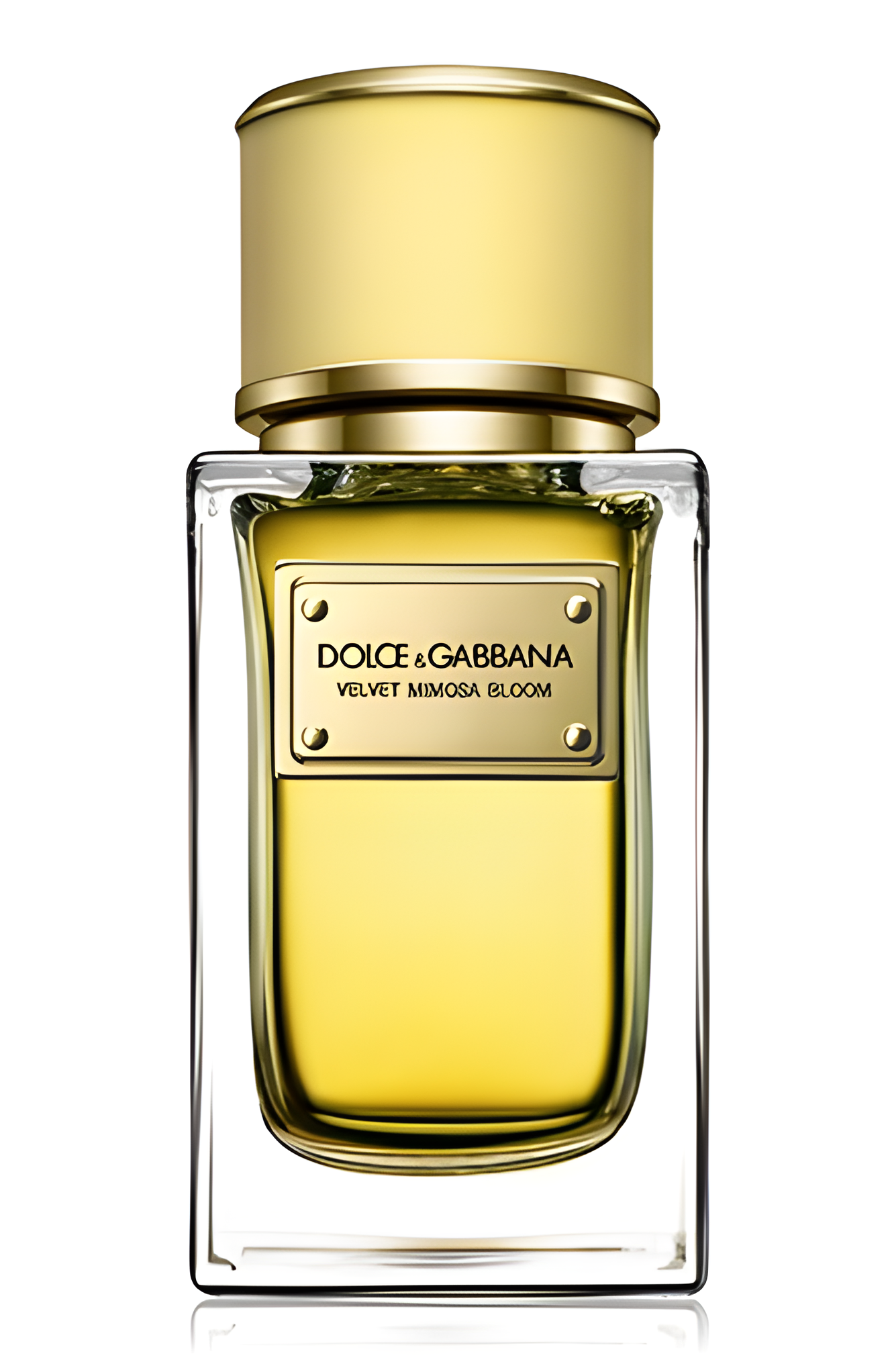 Velvet Mimosa Bloom by Dolce&Gabbana perfume bottle