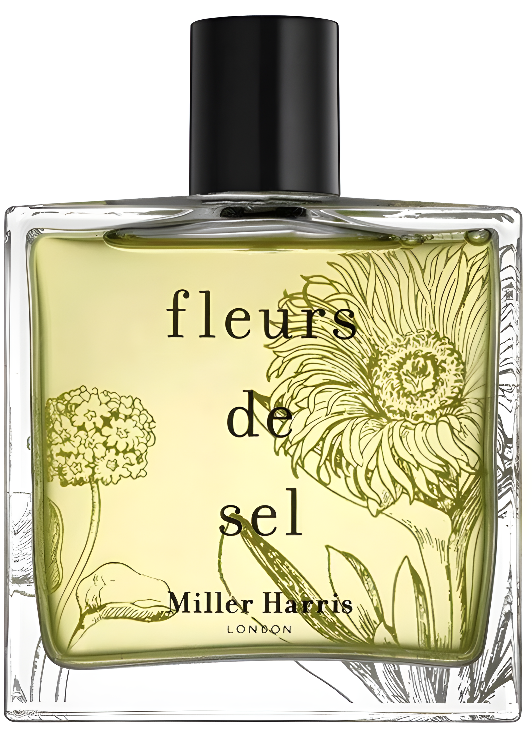 Fleurs de Sel by Miller Harris perfume bottle