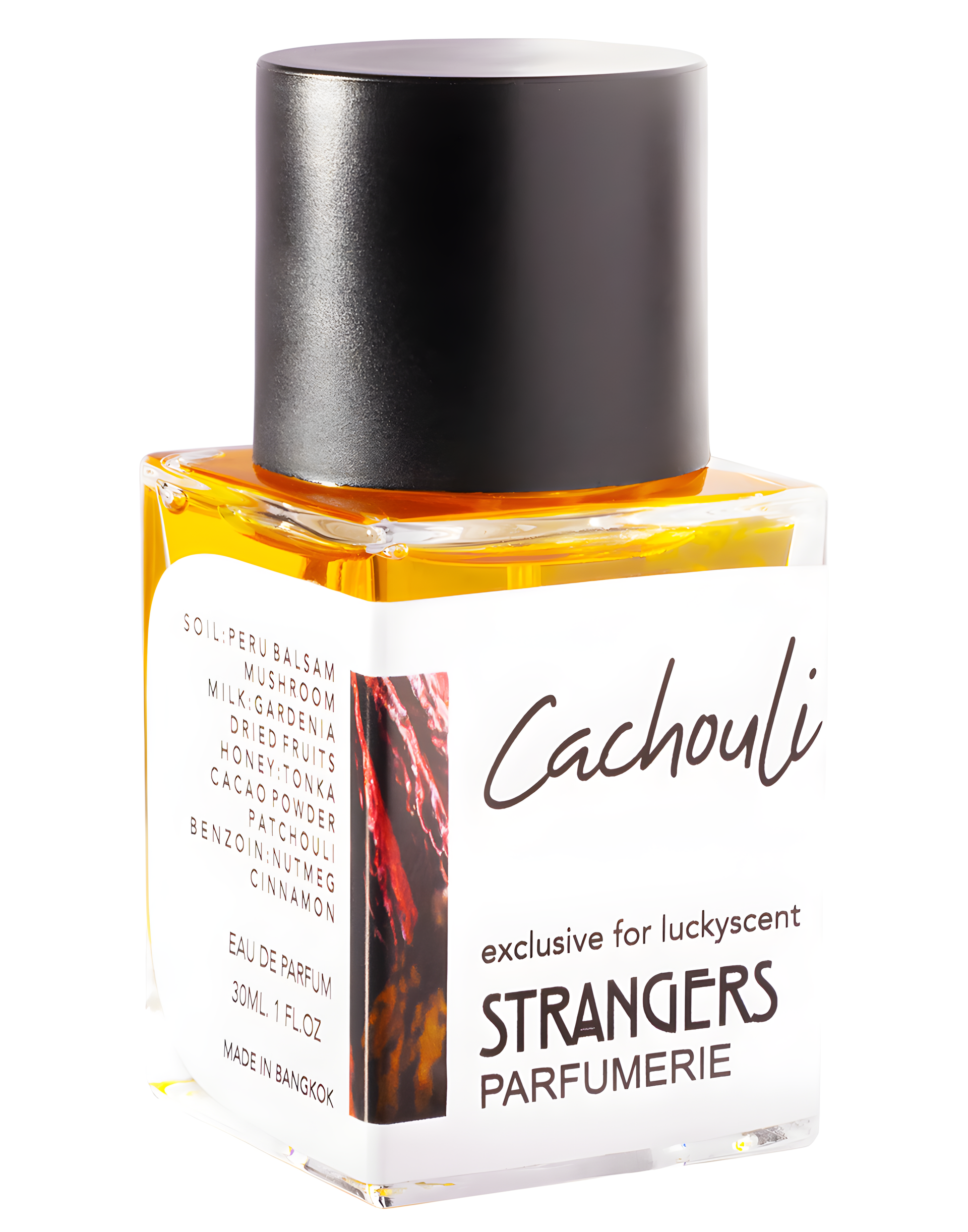 Cachouli by Strangers Parfumerie perfume bottle