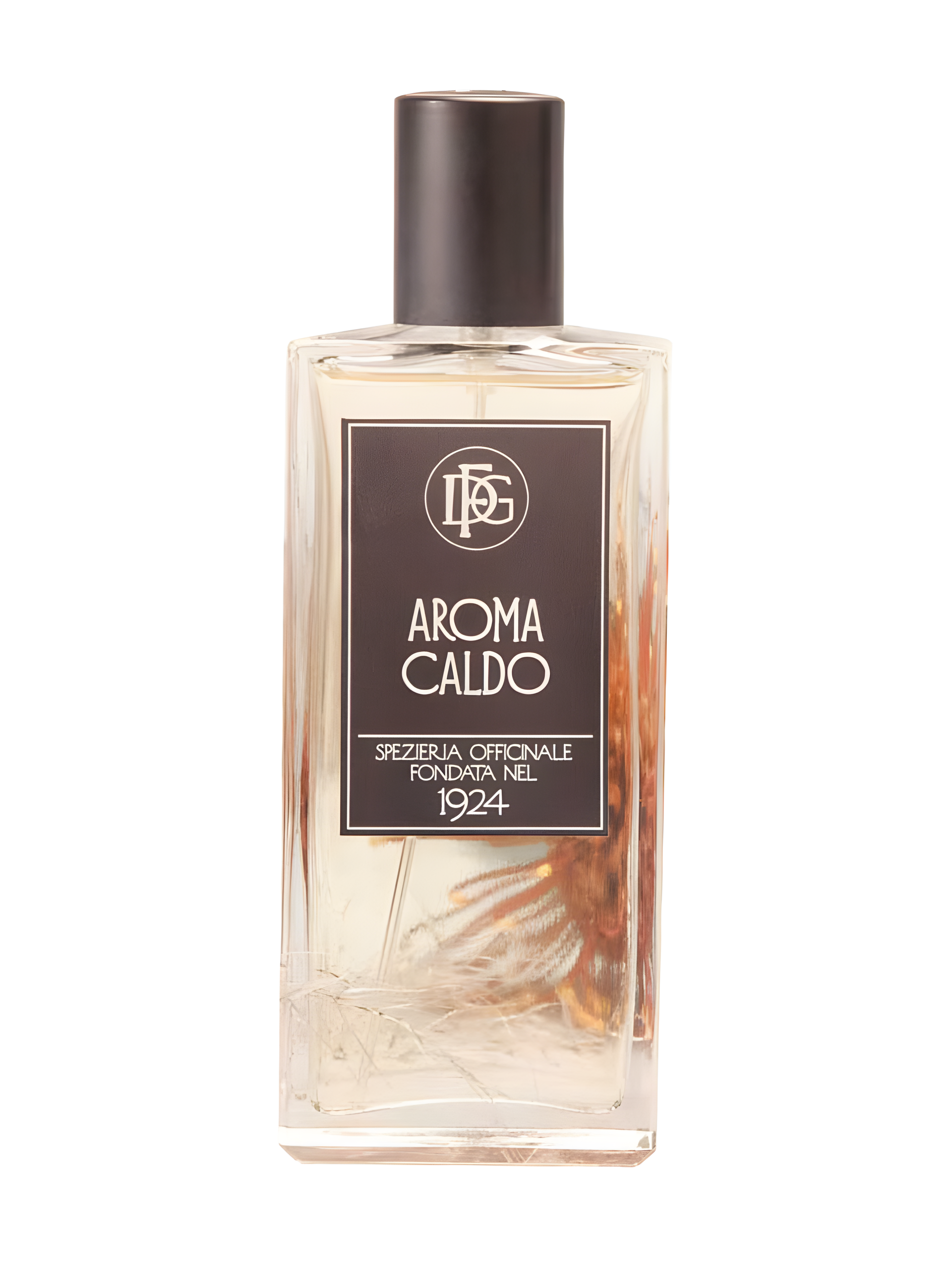 Aroma Caldo by DFG1924 perfume bottle