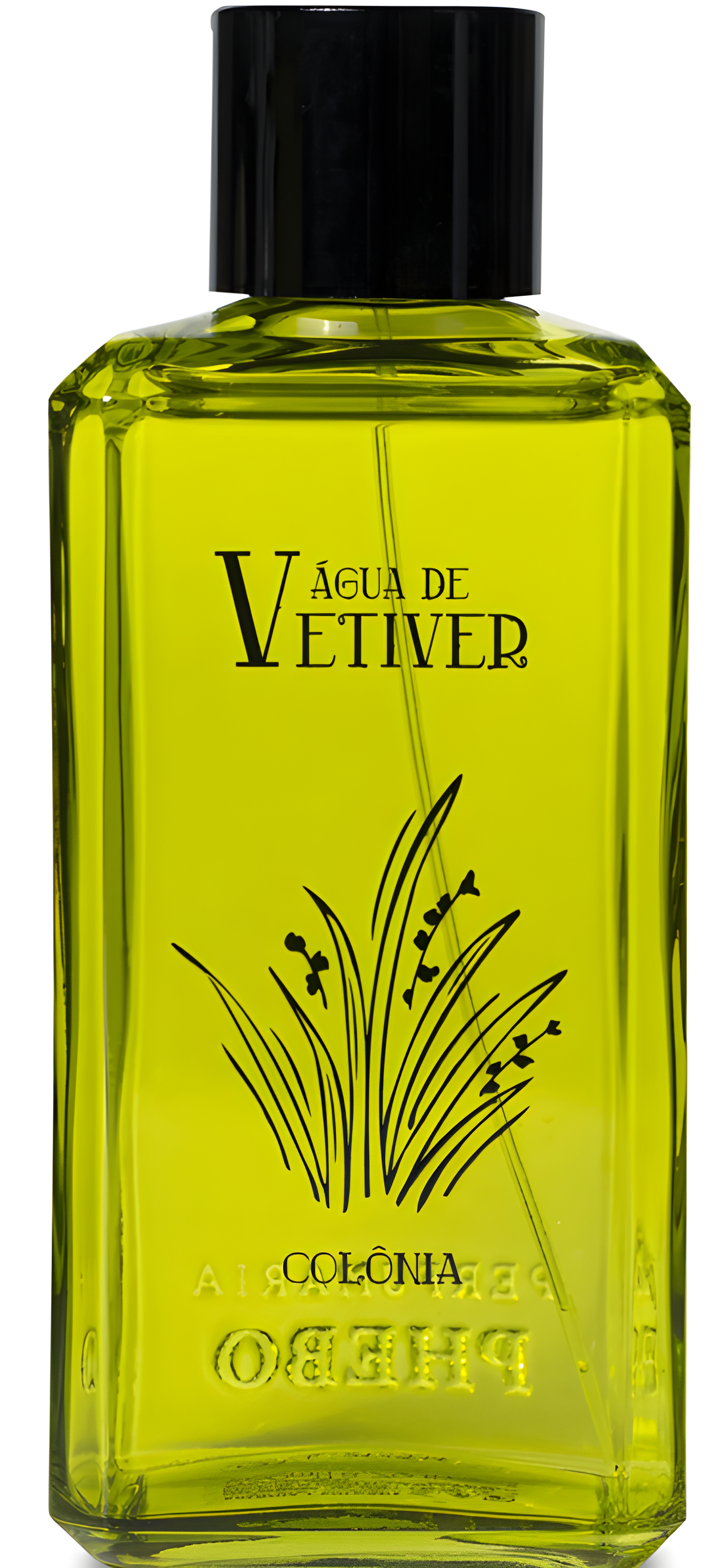 Água de Vetiver by Phebo perfume bottle
