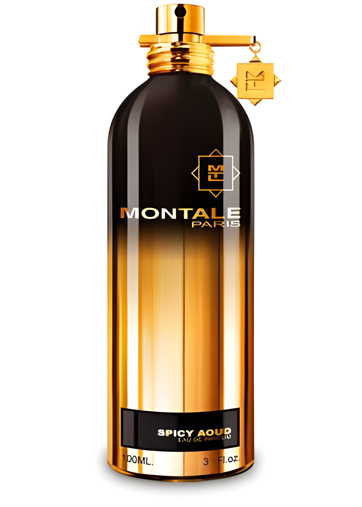 Spicy Aoud by Montale perfume bottle