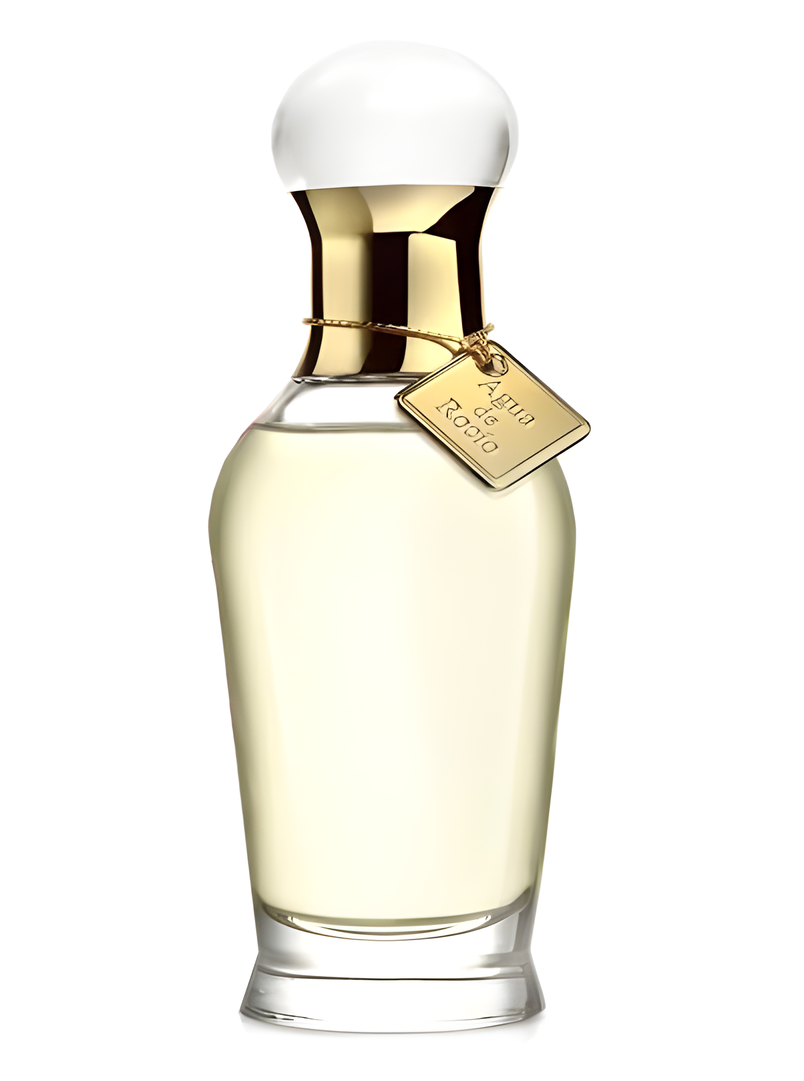 Agua de Rocio by Victorio & Lucchino perfume bottle