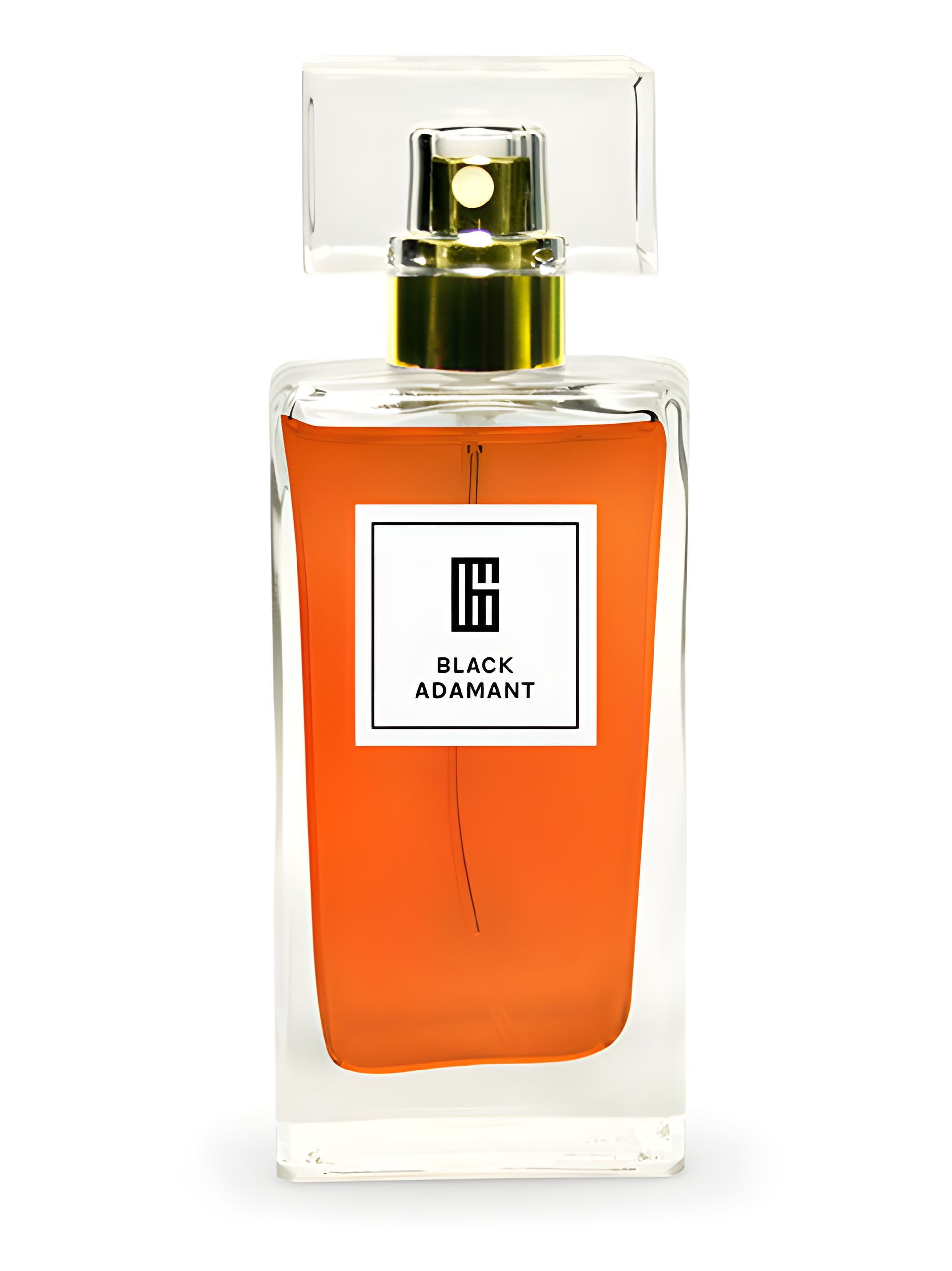 Black Adamant by G Parfums perfume bottle